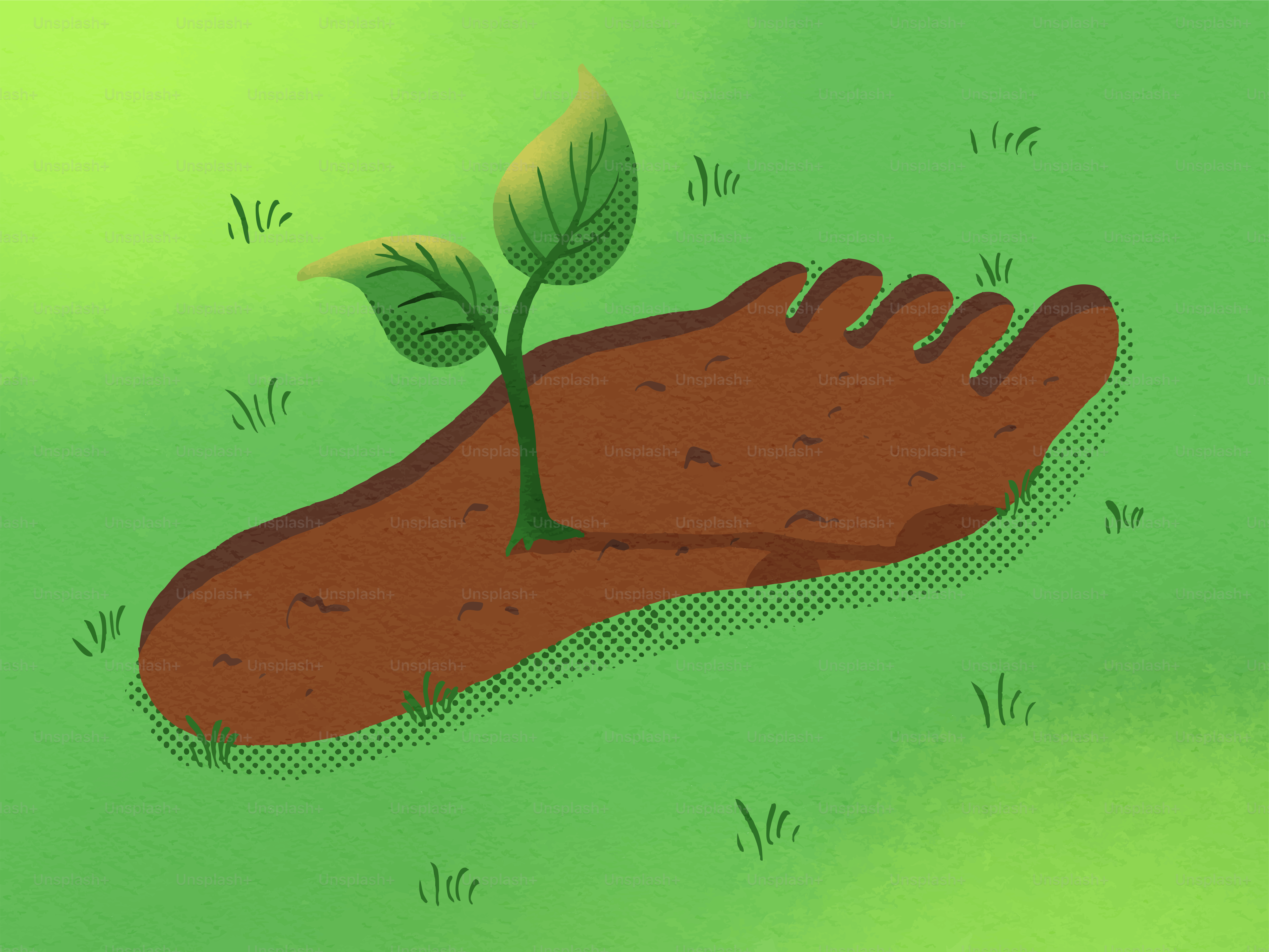 Una pianta cresce da un'impronta nel terreno.