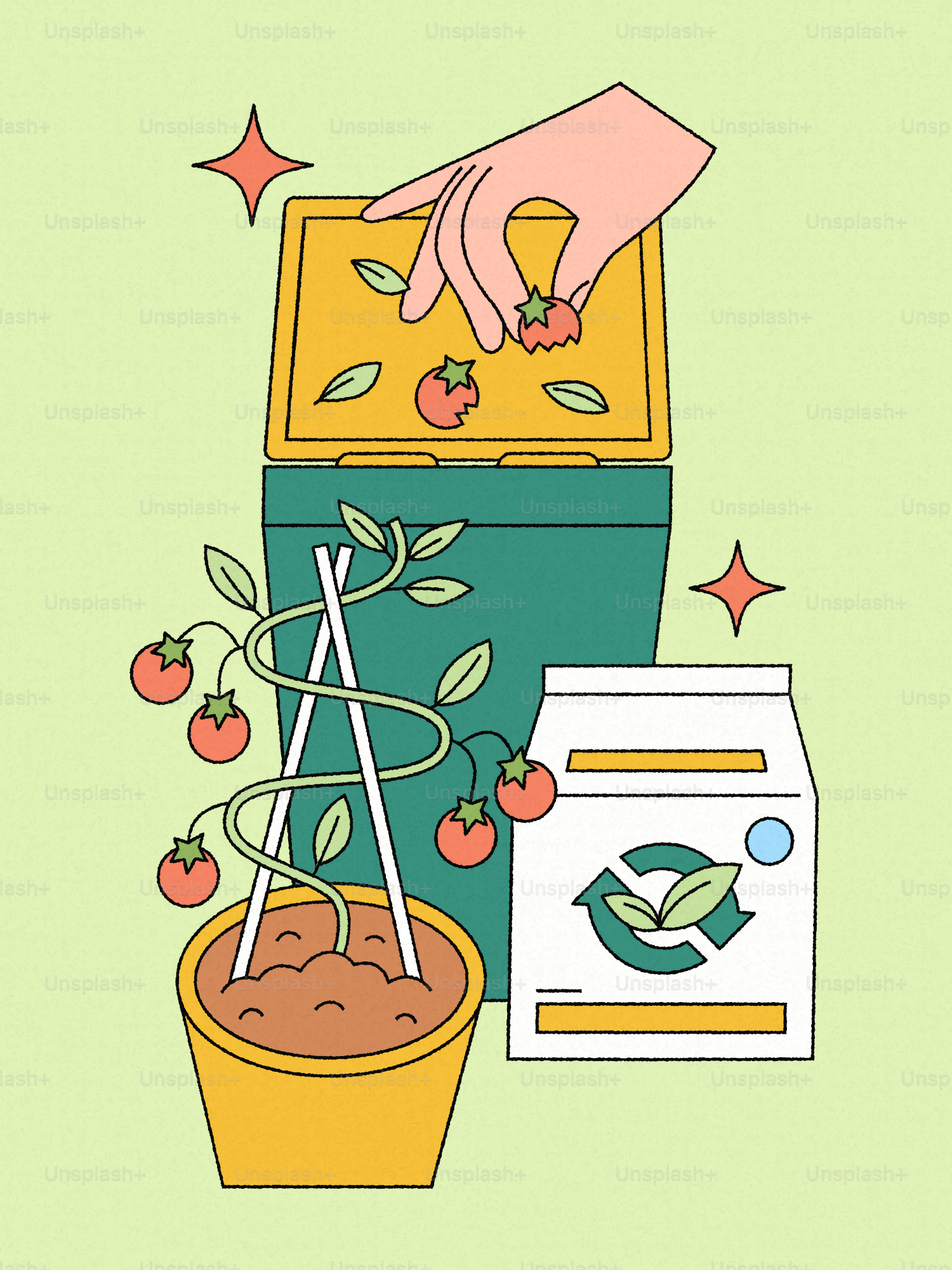 Tomaten von Hand kompostieren in eine Kiste mit der Pflanze.