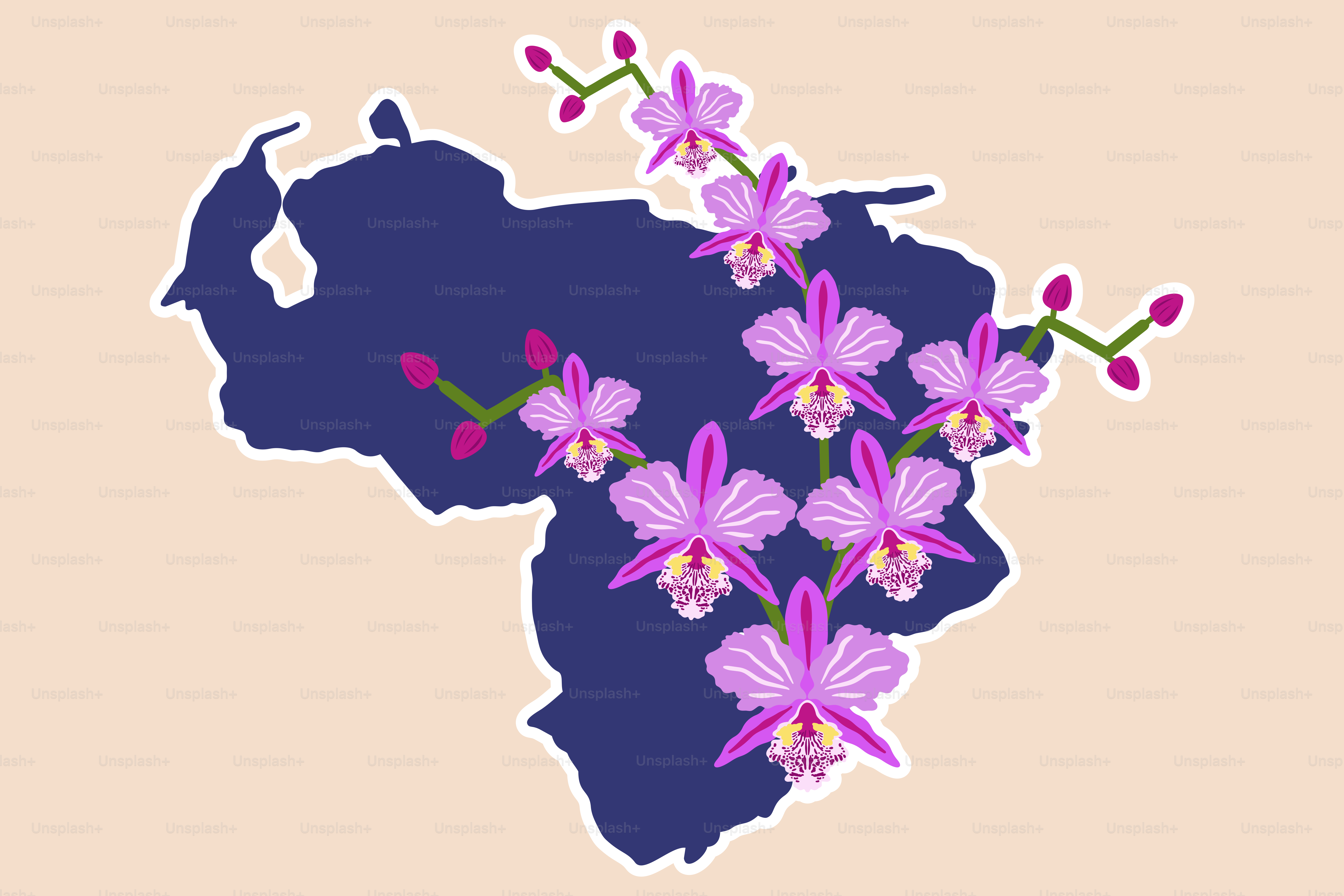 Orchideen, die auf der Karte Venezuelas blühen, blühen