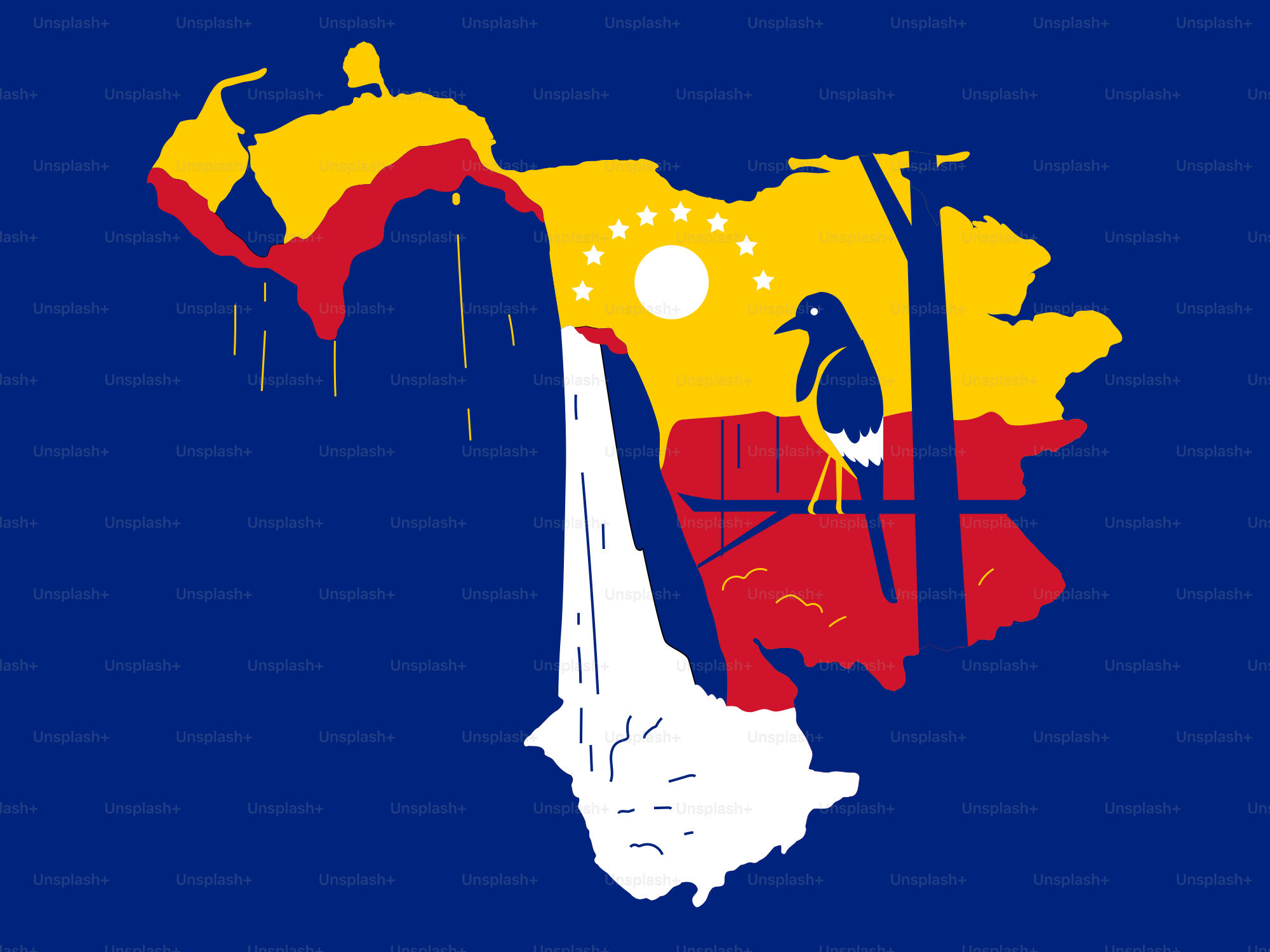 Mapa de Venezuela con un ave y una cascada