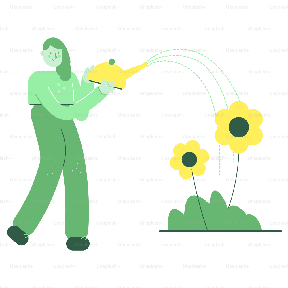 Person watering yellow flowers in a garden