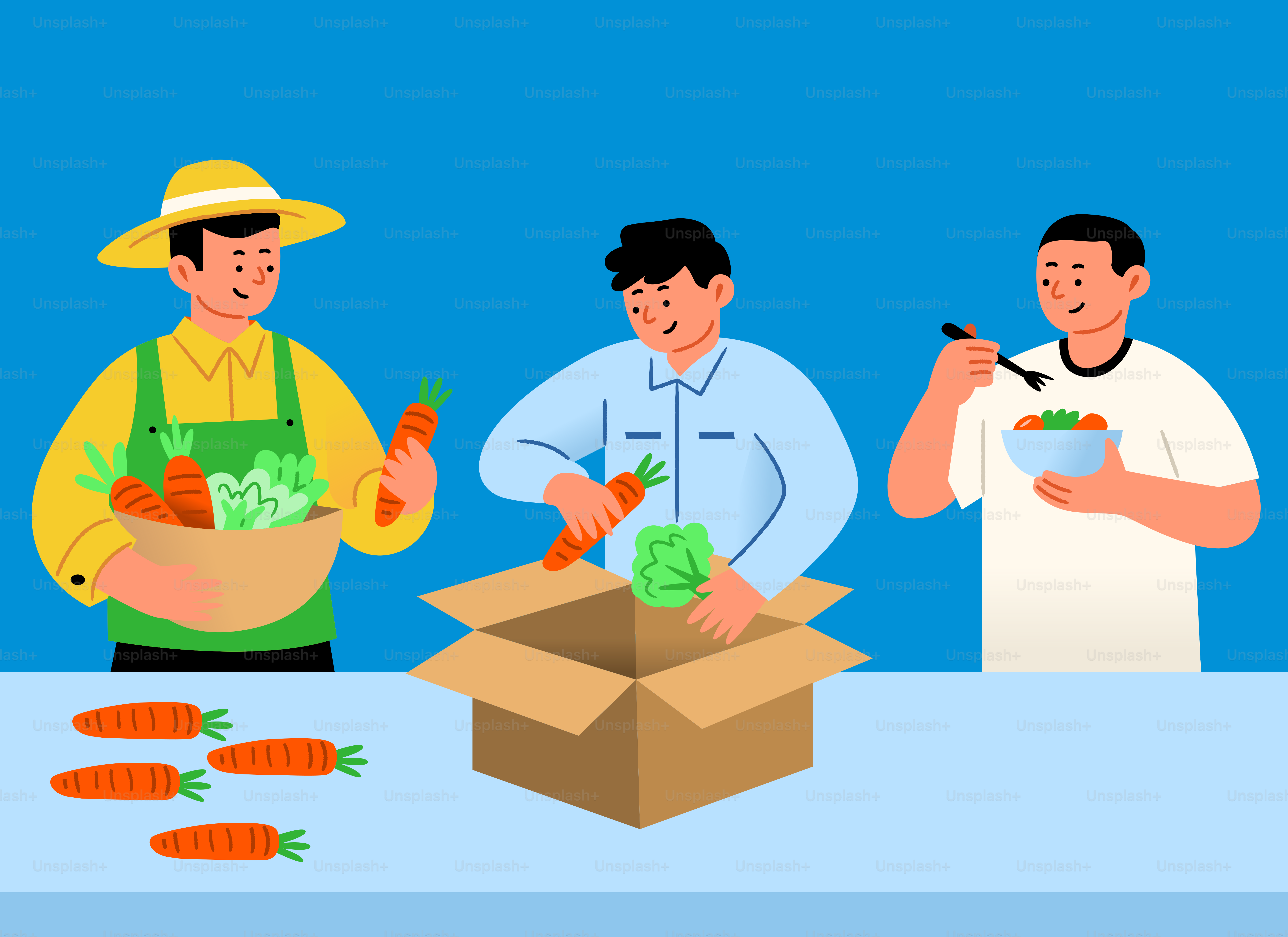 Bauern packen frisches Gemüse in eine Kiste.