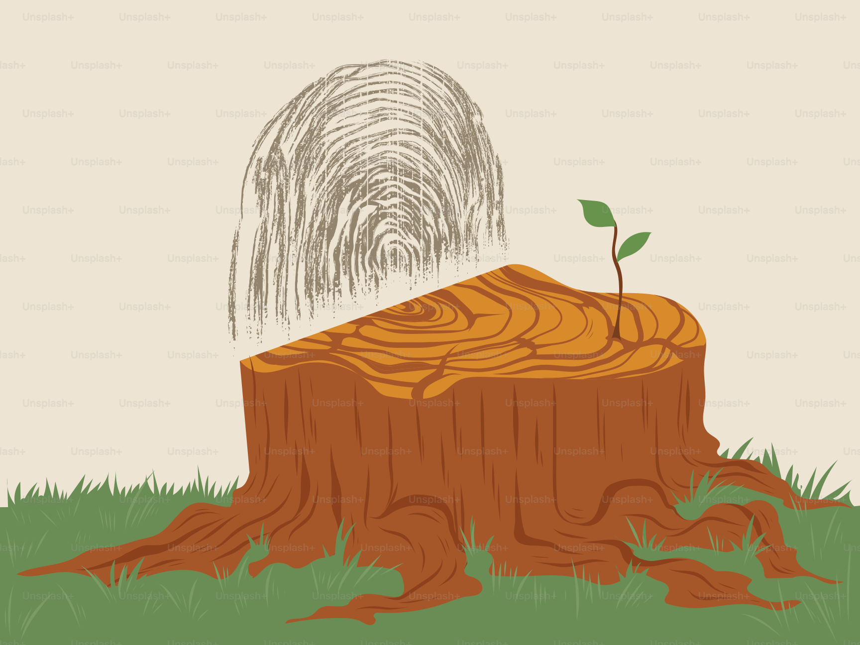 Ein Baumstumpf mit einem neuen Keim, der wächst.