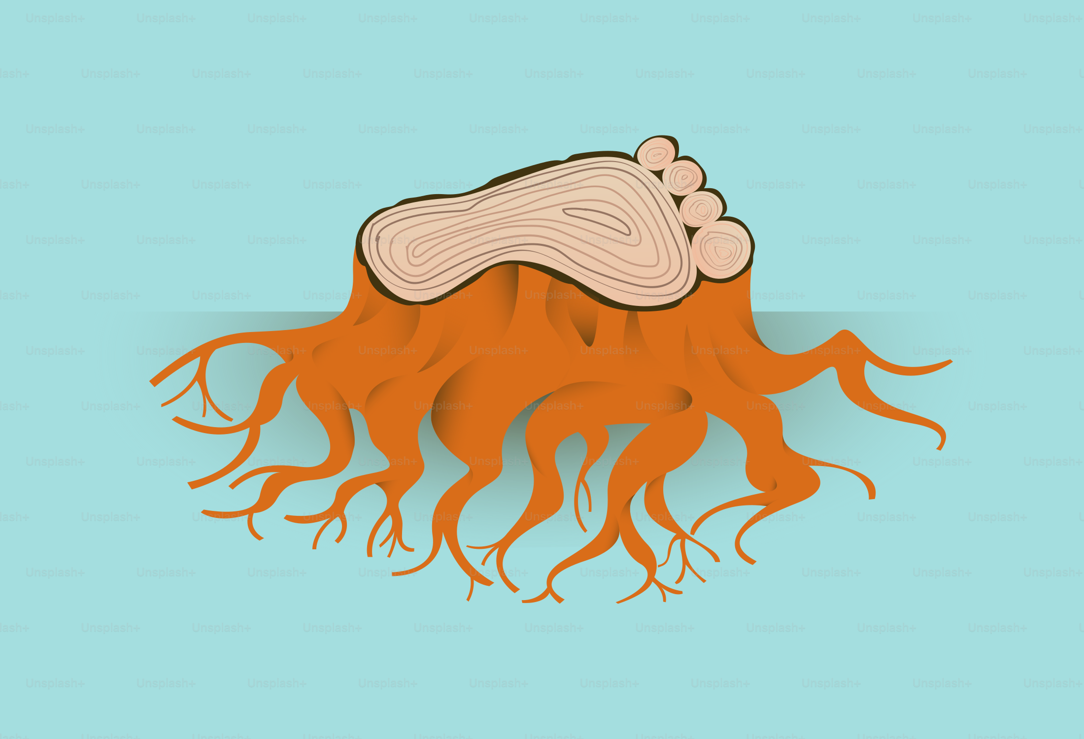 Impronta su un ceppo d'albero con radici