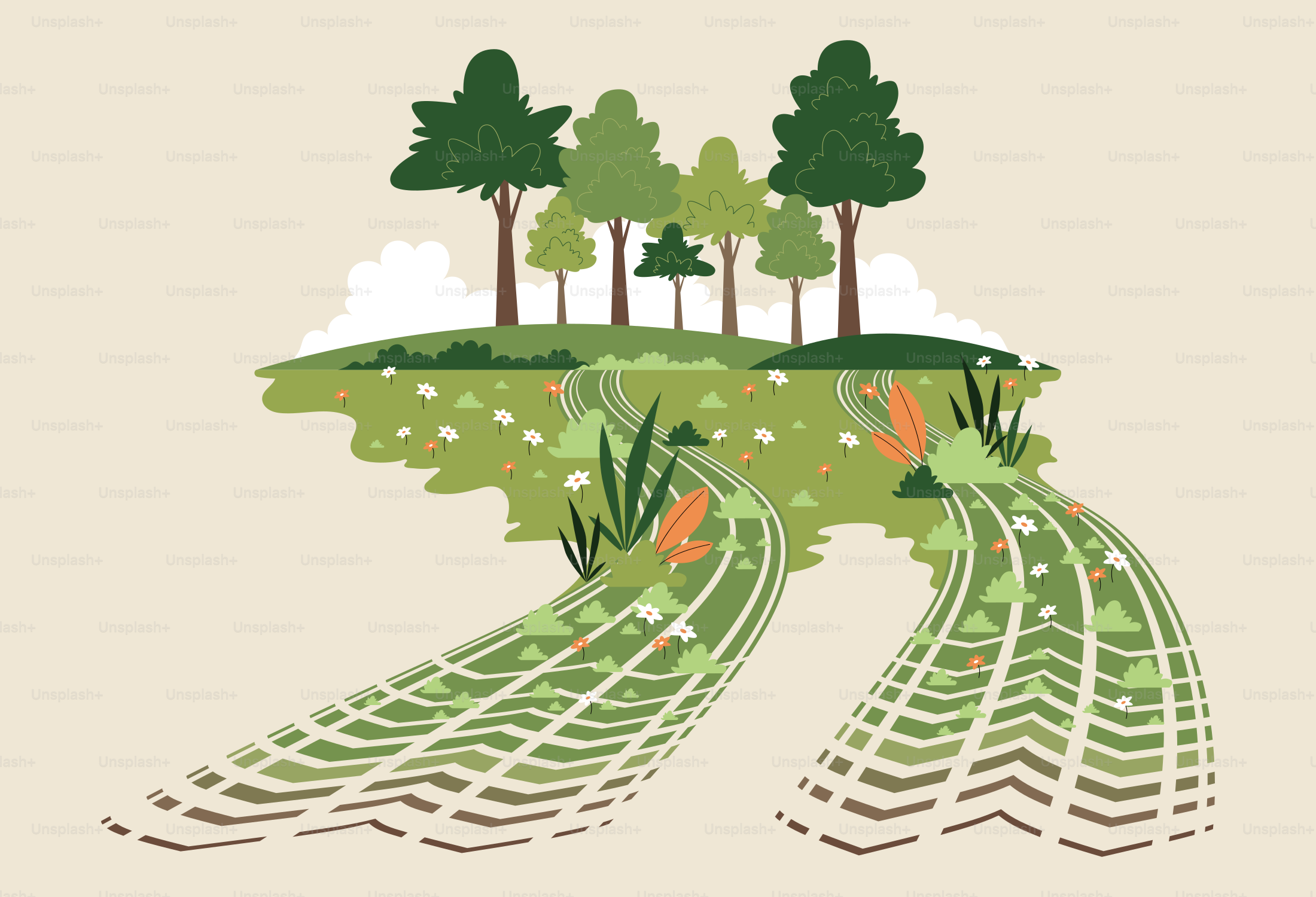 Dos caminos serpenteantes atraviesan un paisaje verde.