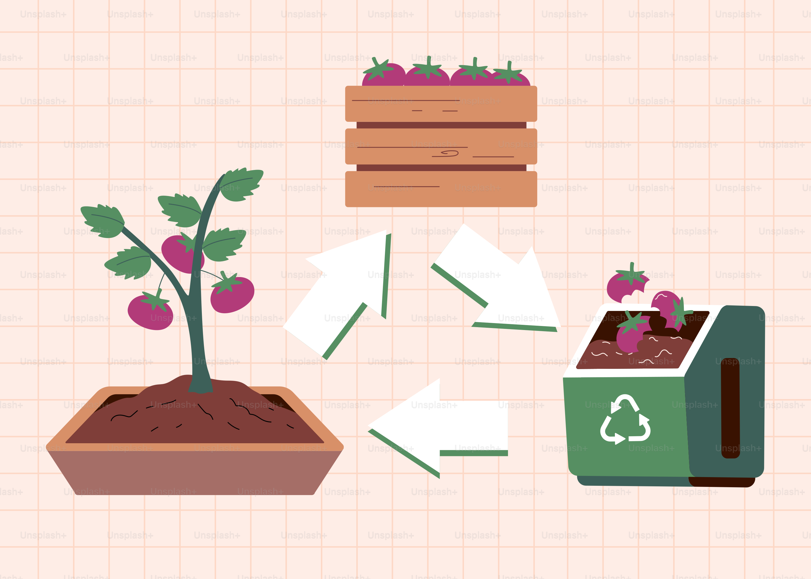 トマトの植物、クレート、矢印付きのリサイクル箱。