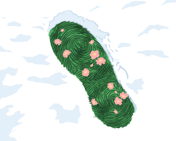 Green sole with pink flowers in snow