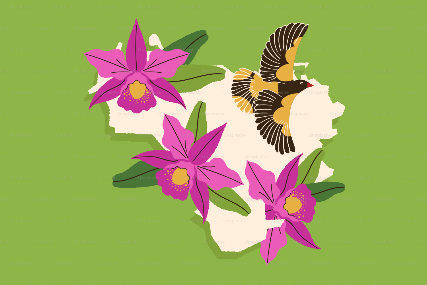 A bird flies near orchids on a map