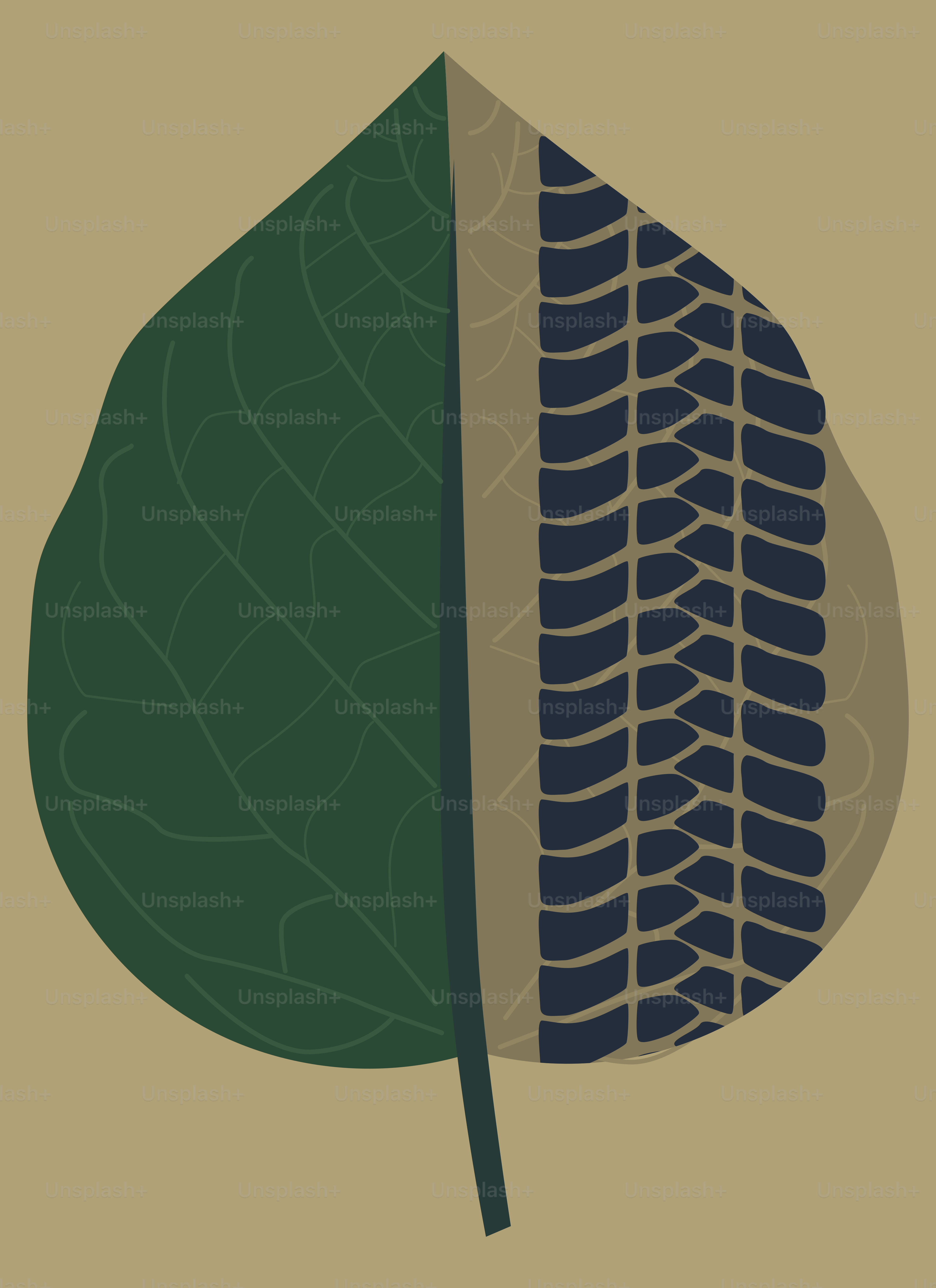 Leaf split between nature and tire track