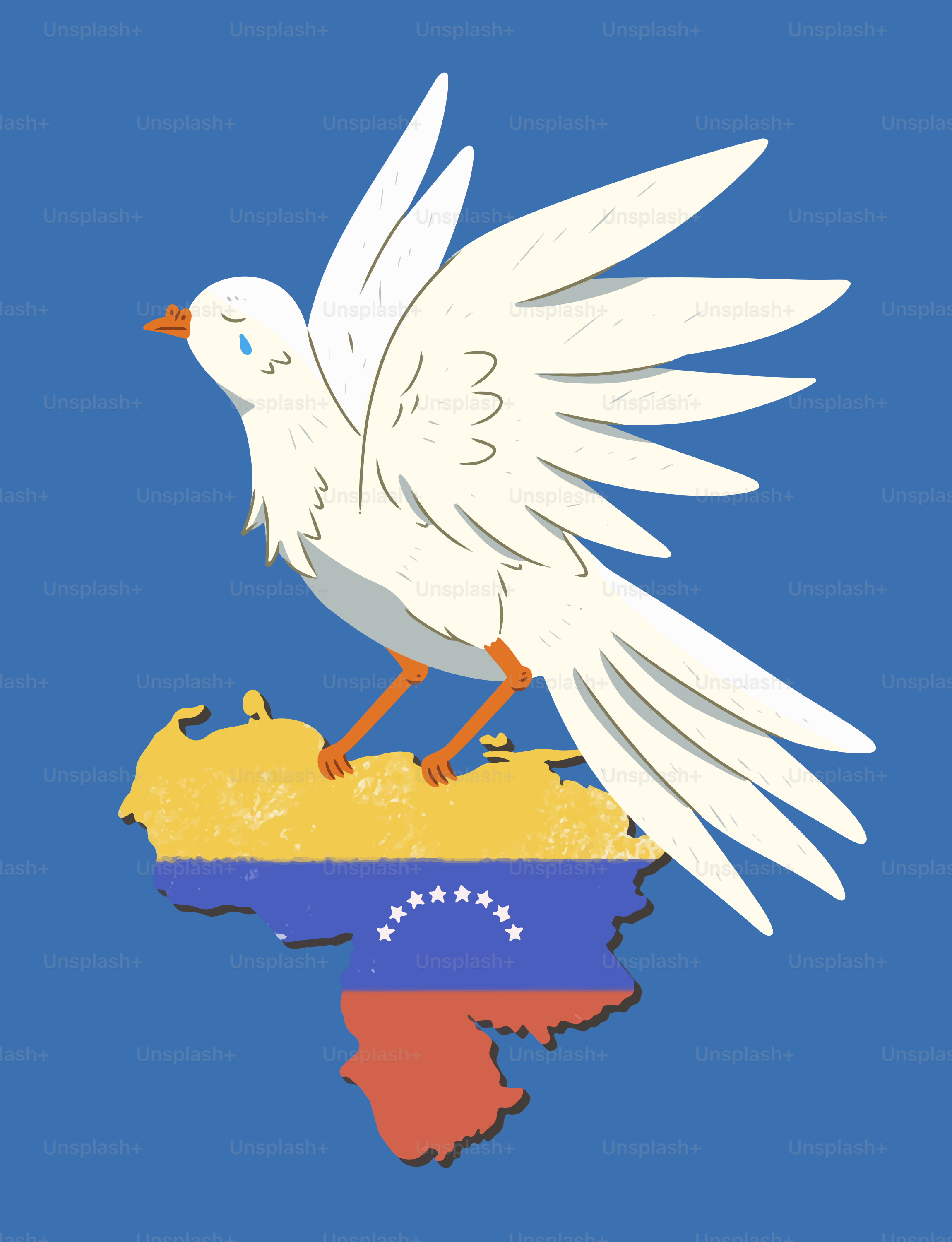A white dove rests on a map of venezuela.