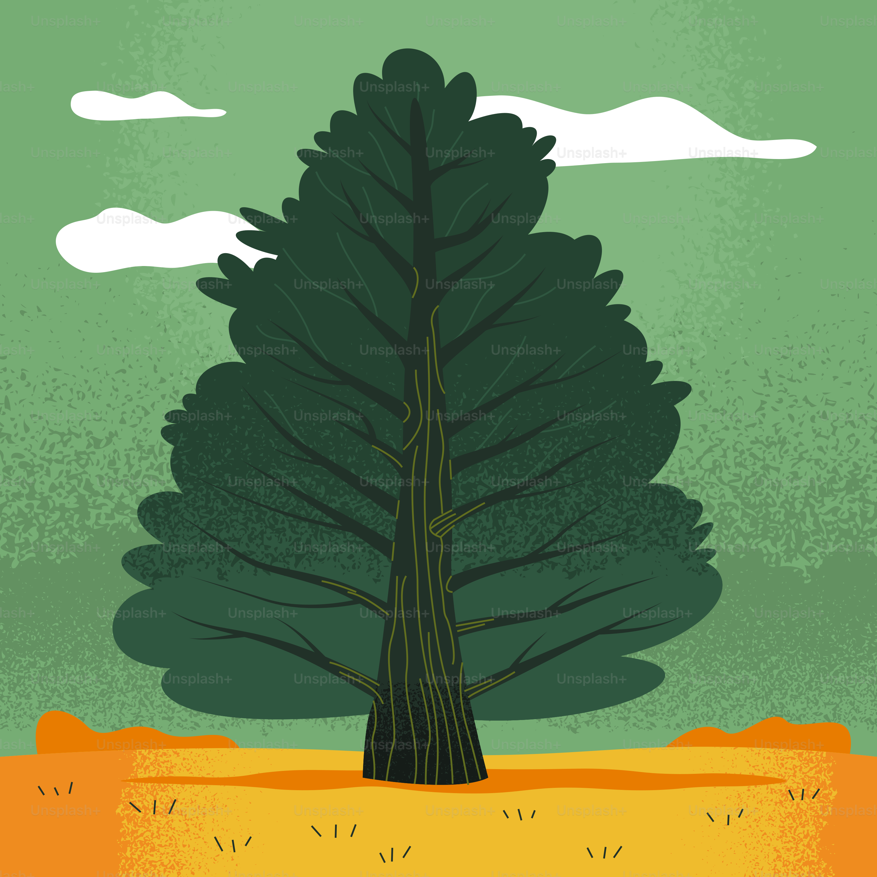 들판에는 큰 푸른 나무가 서 있다.