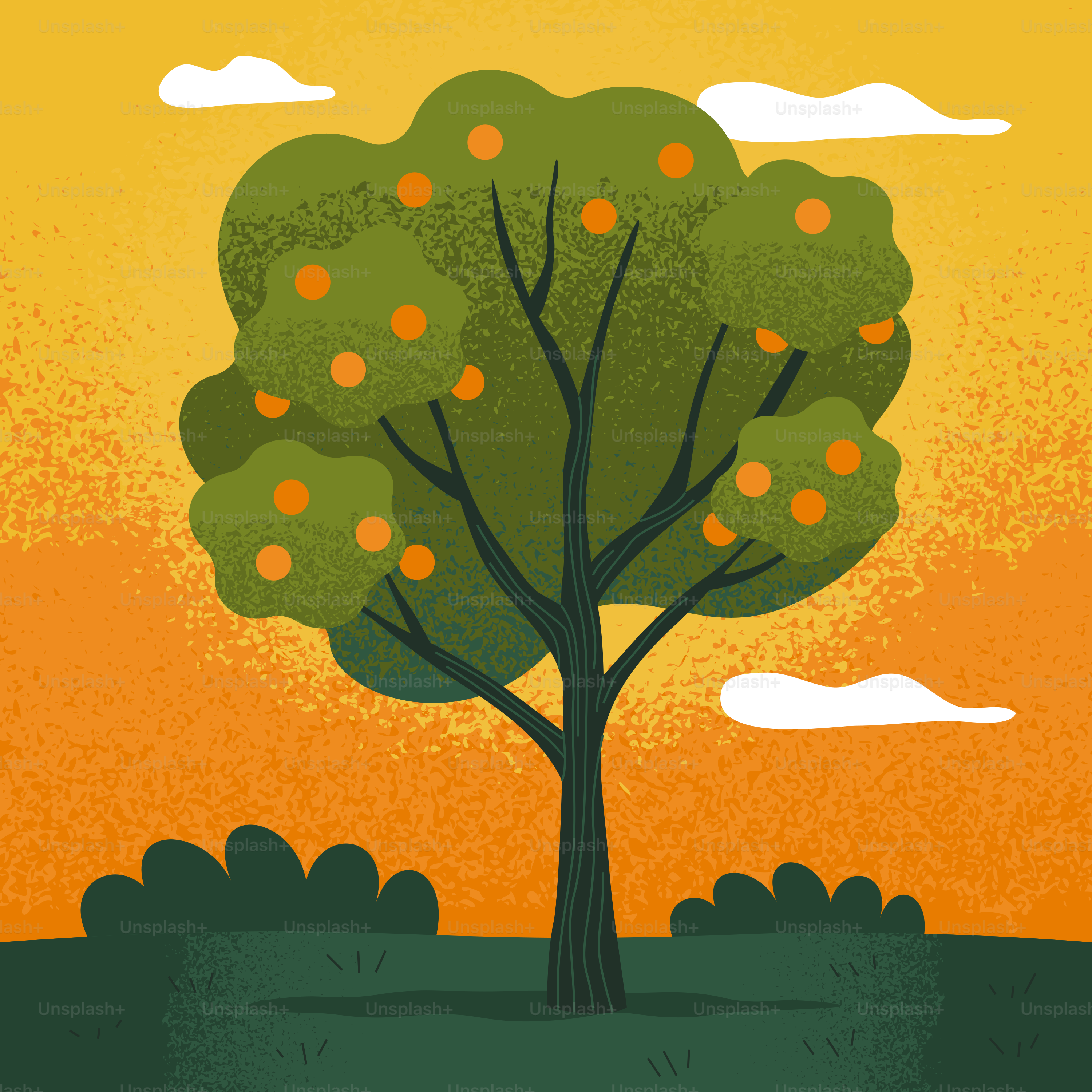 A stylized orange tree with fruit at sunset.