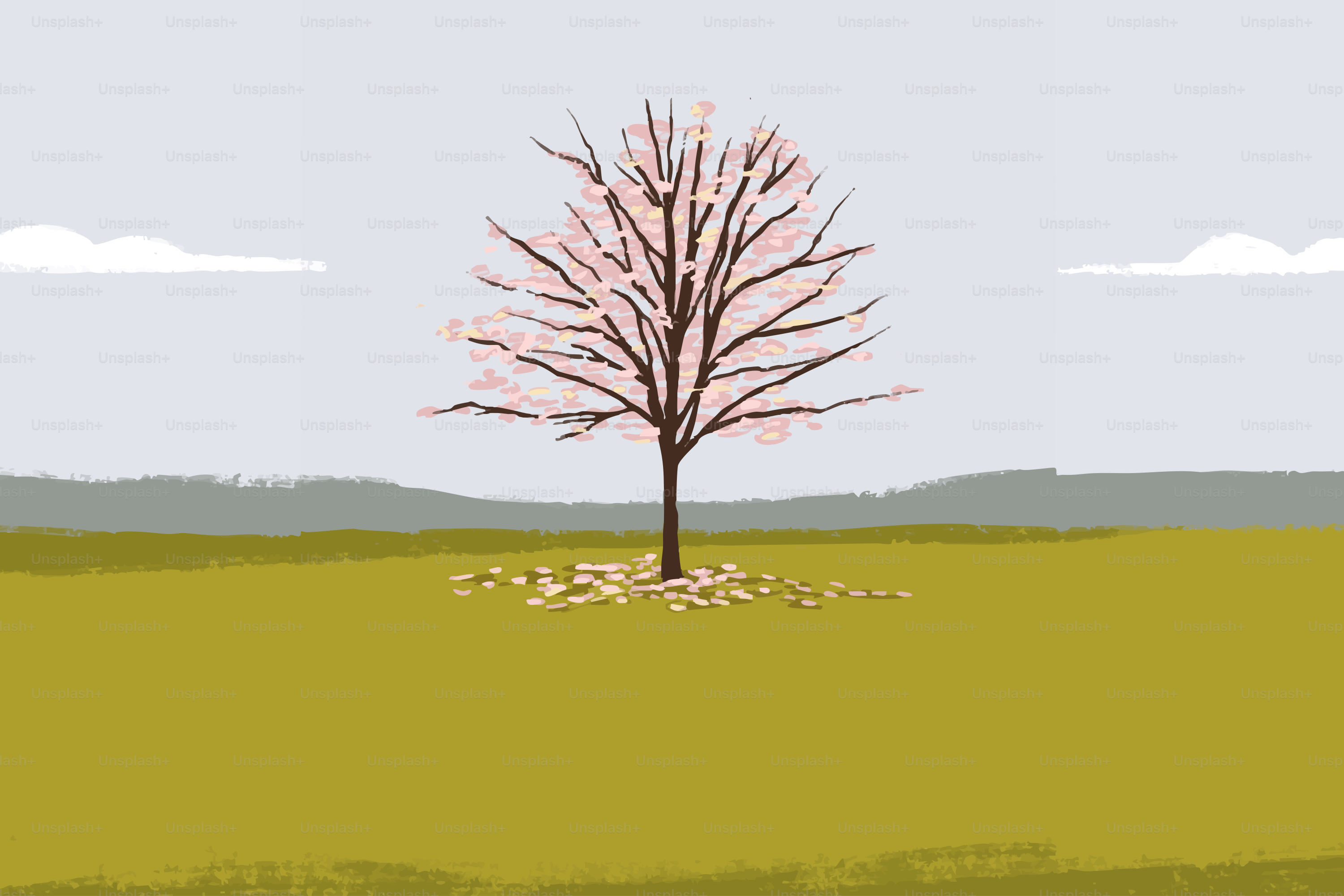 A solitary cherry blossom tree in a field.