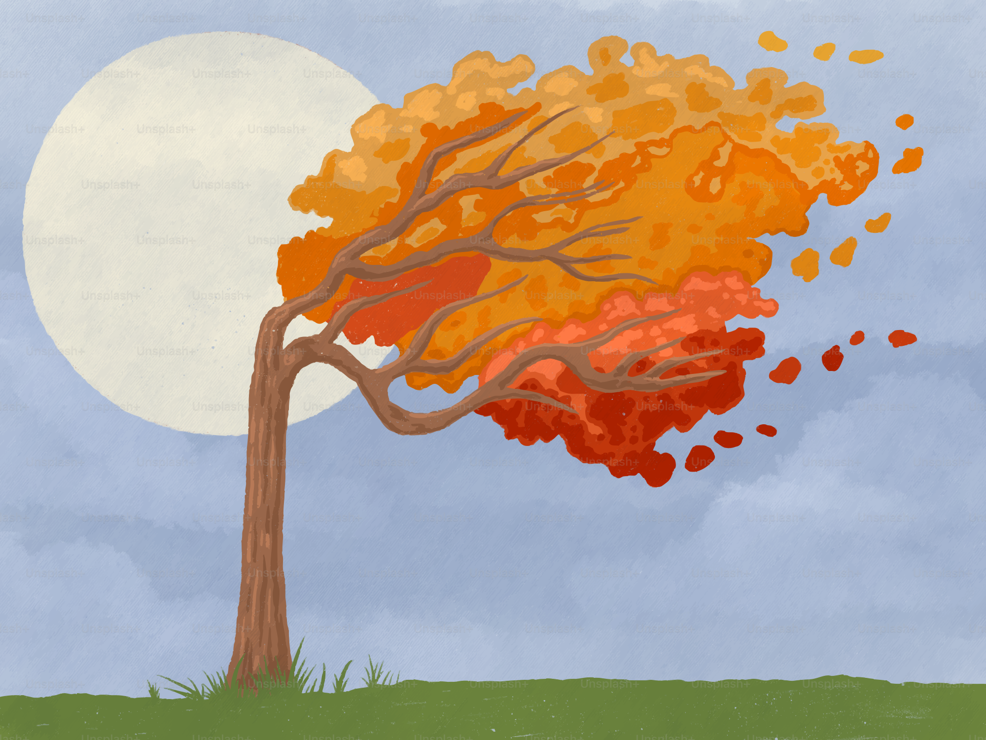 Arbre d’automne aux feuilles colorées qui s’agitent au vent