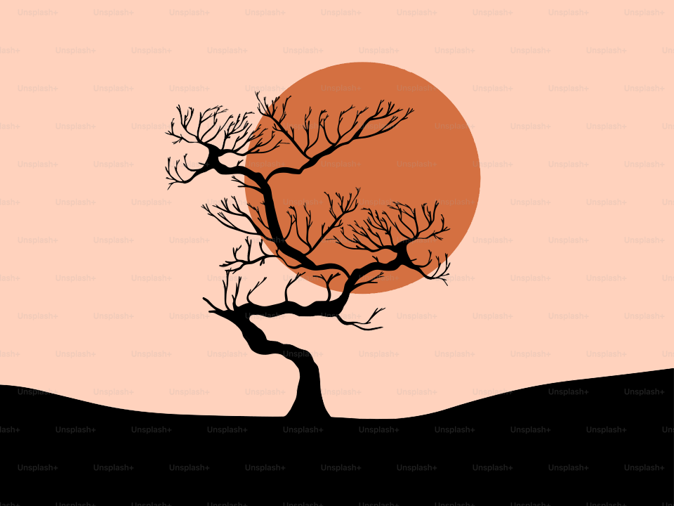 Silhouette of a bare tree against a large orange sun.