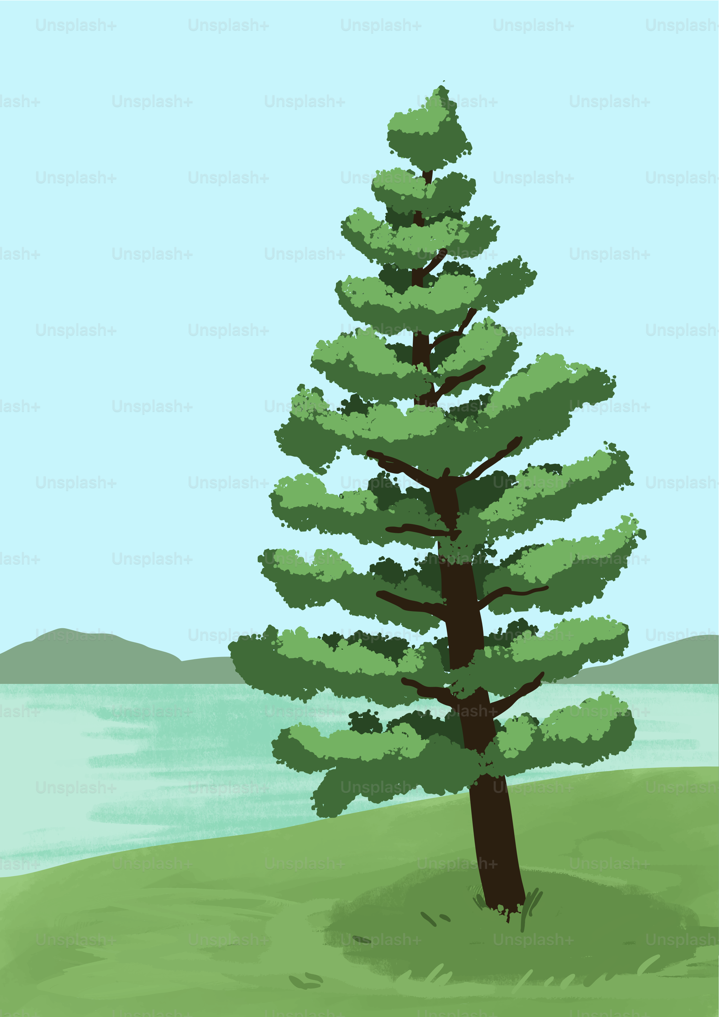 A lone pine tree stands on a grassy shore.