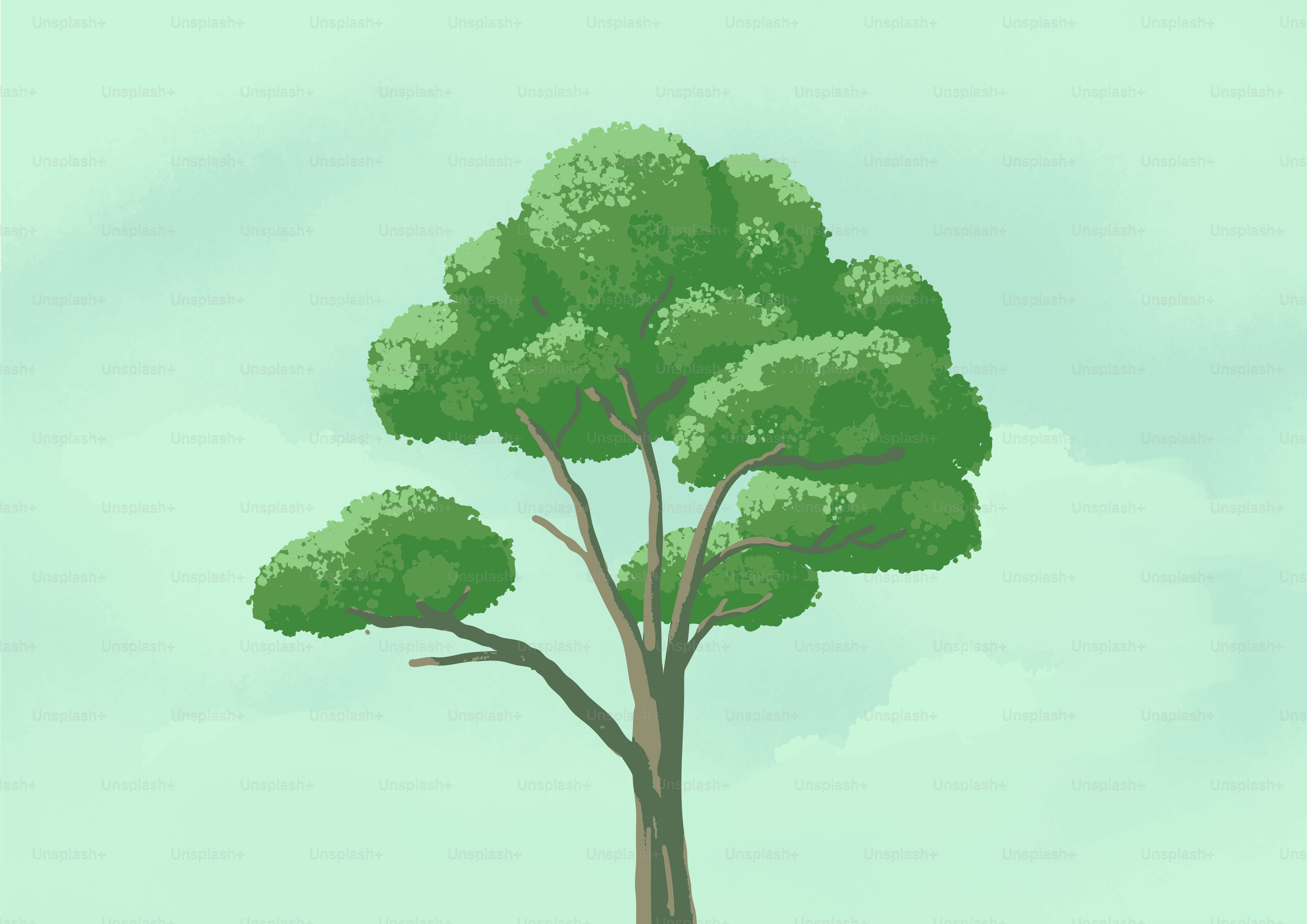 A tall green tree against a pale sky.