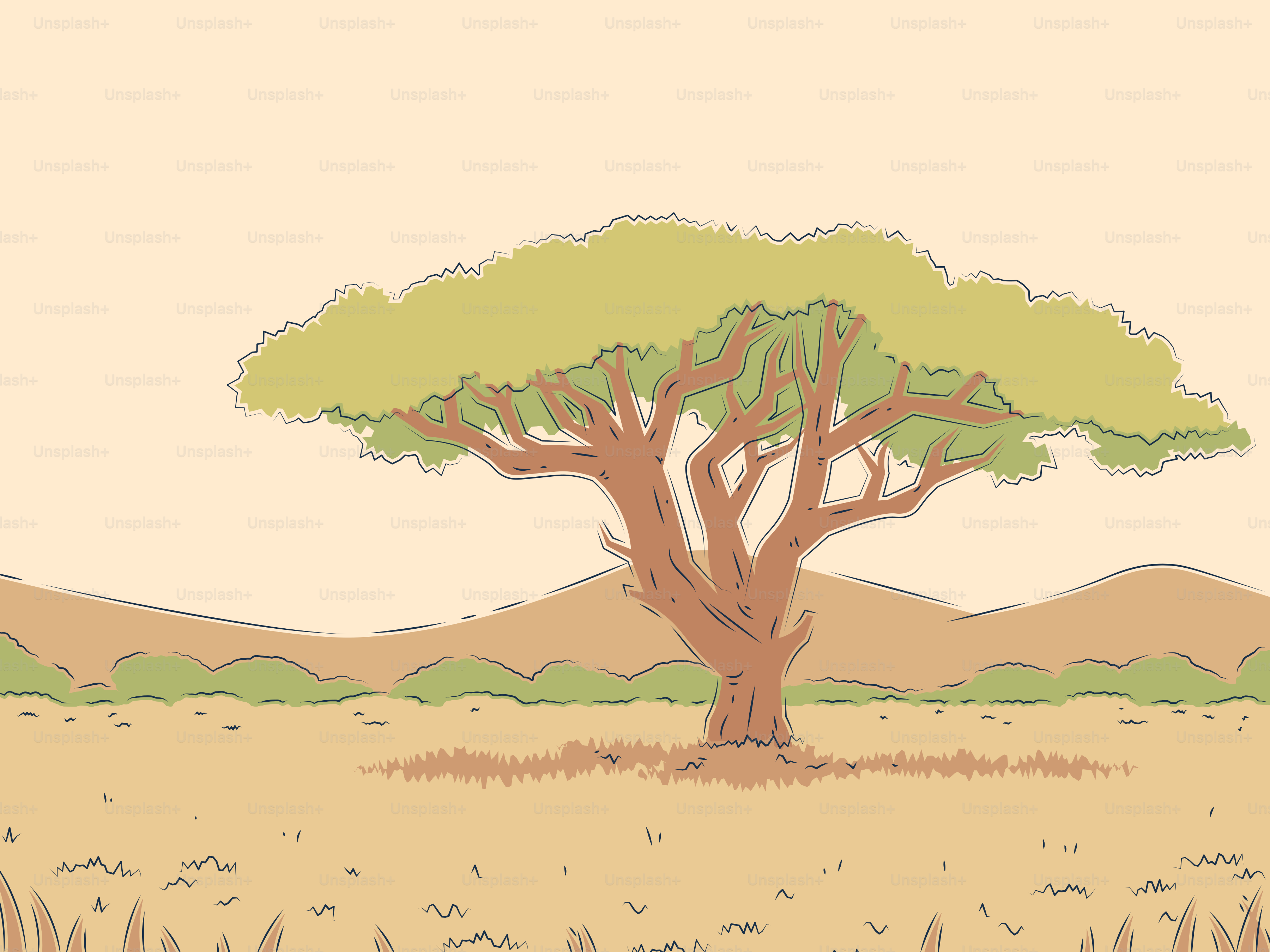 건조한 사바나 풍경 속의 외로운 아카시아 나무