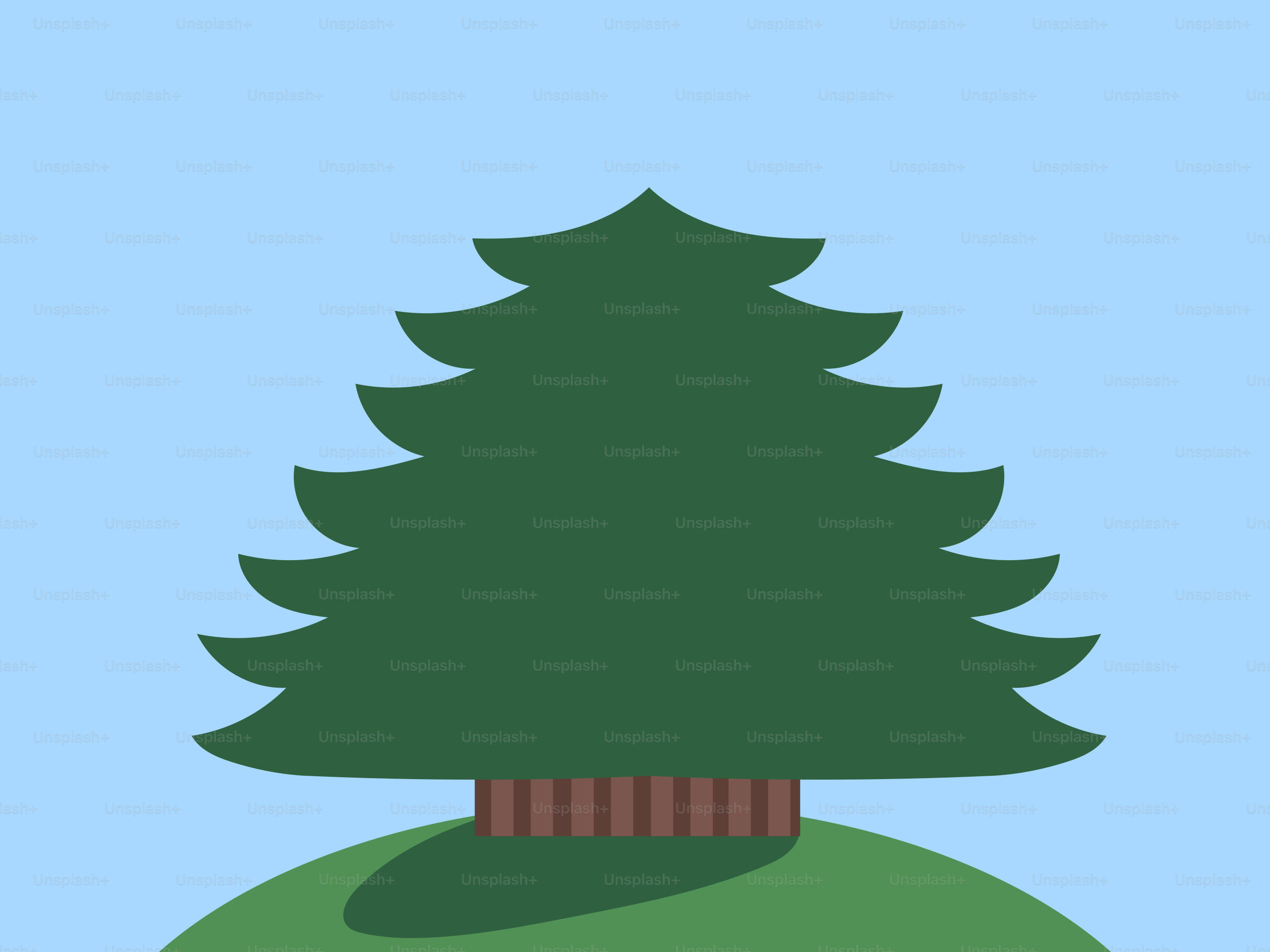 A green evergreen tree on a grassy hill.