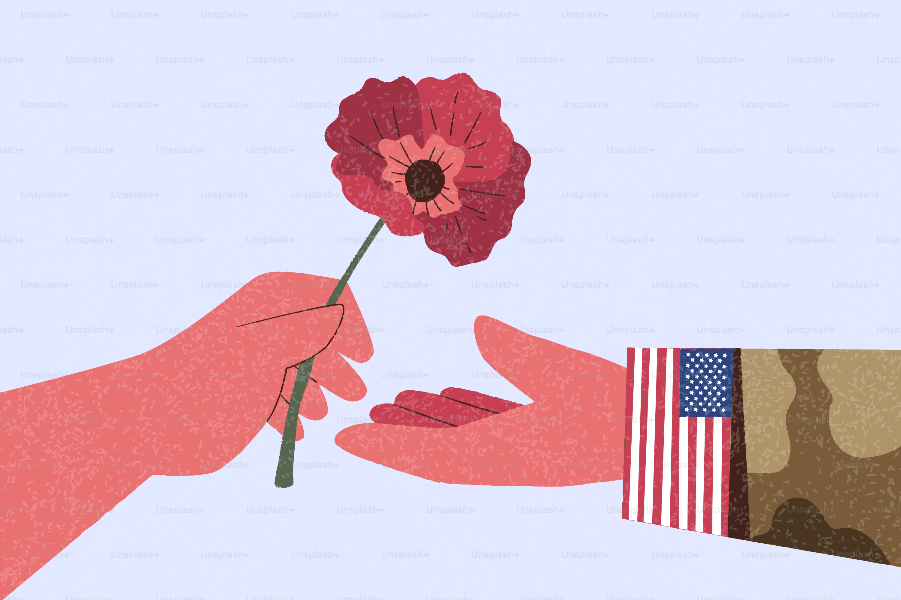 Hand oferece papoula para soldado com braçadeira com a bandeira americana.