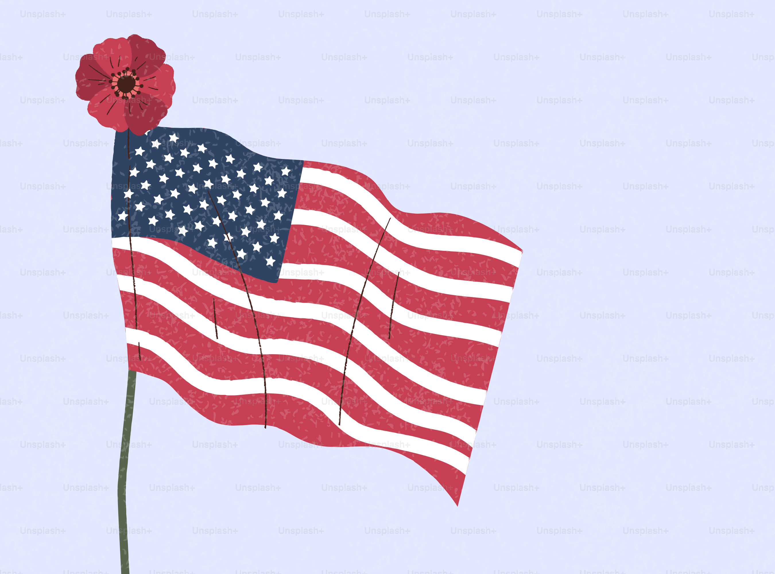 Bandeira americana com uma papoula vermelha em um mastro.