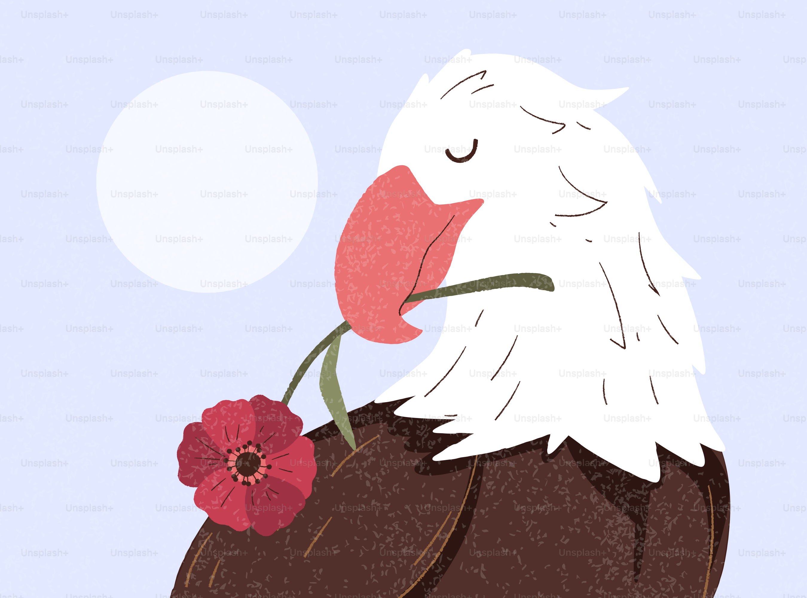 Águia-careca segurando uma flor de papoula vermelha