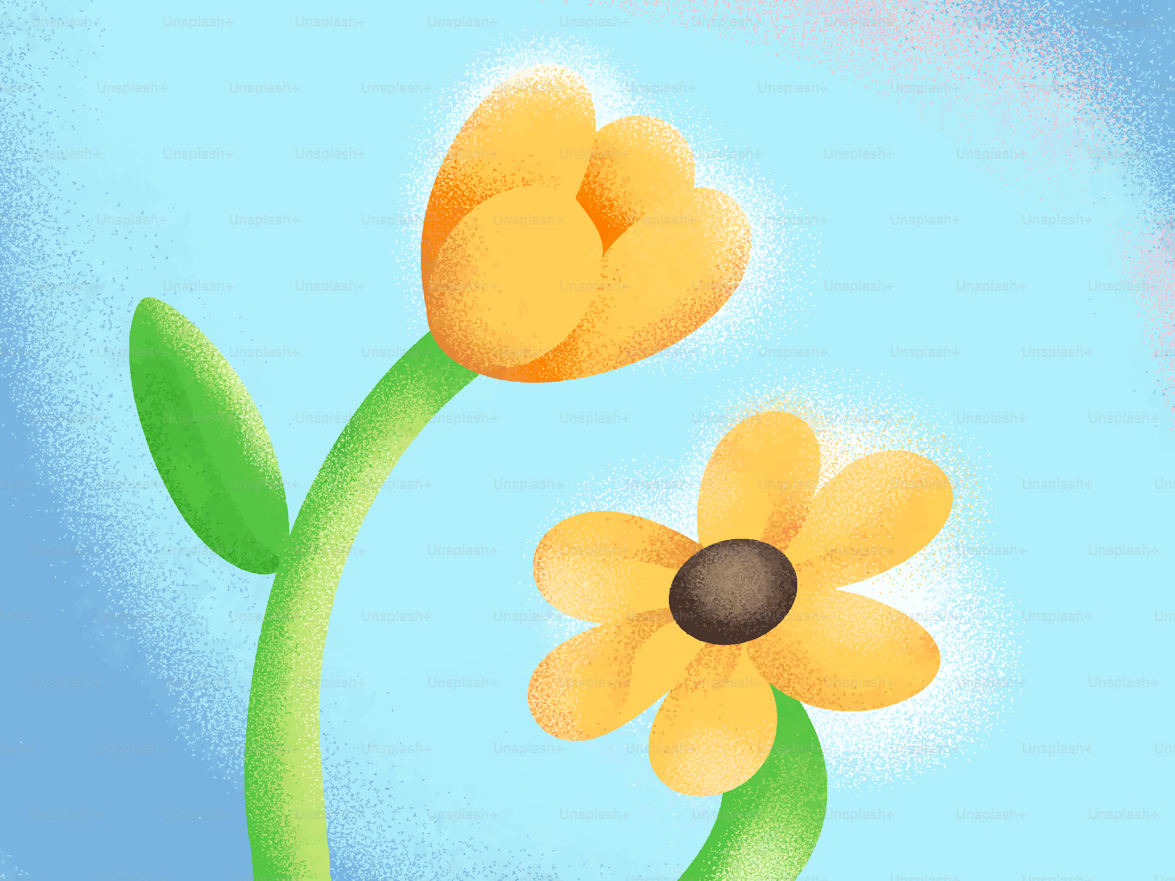 Two yellow flowers on a blue background
