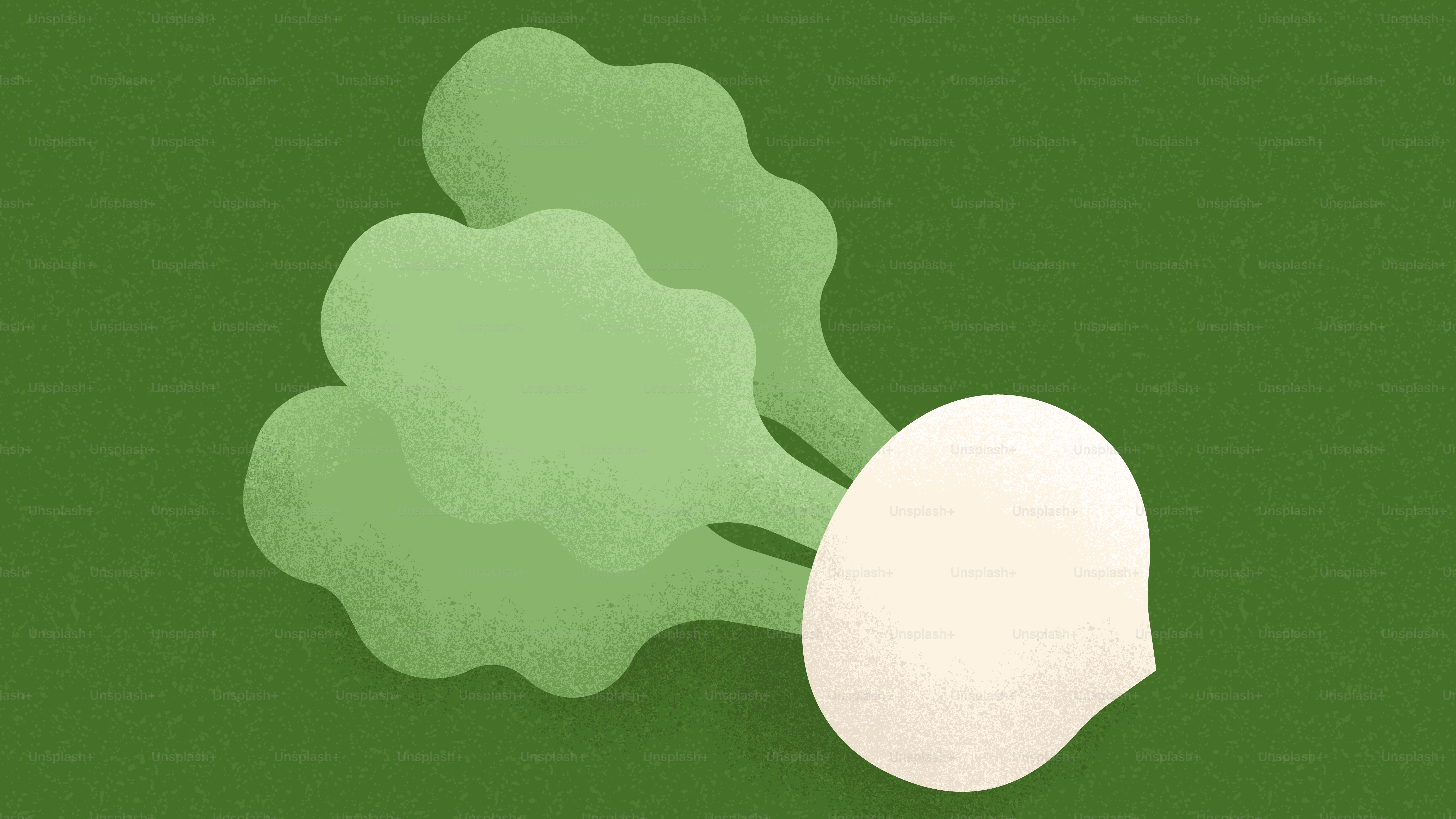 A single turnip with green leaves on a green background