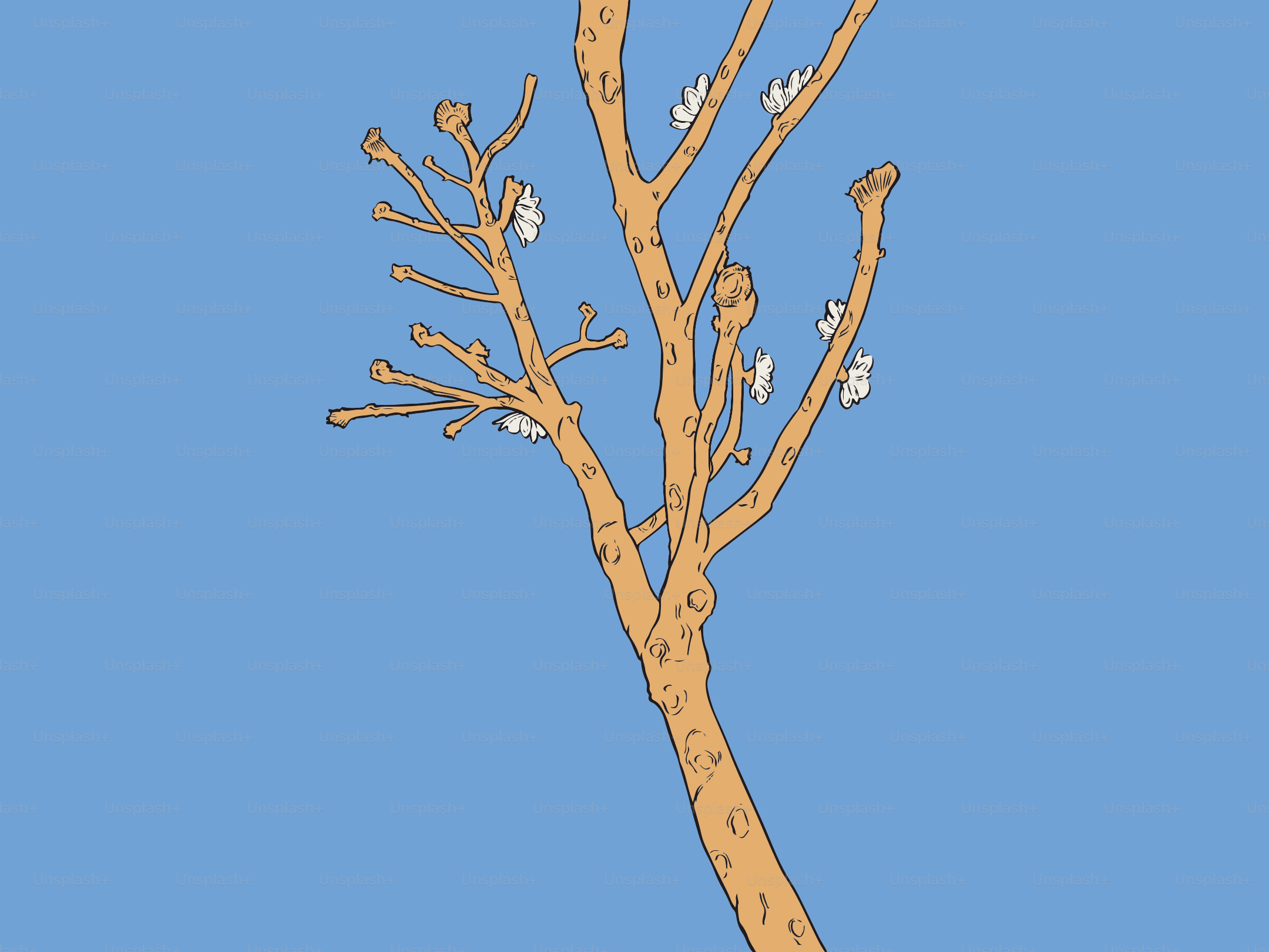 A bare tree branch with small white buds.