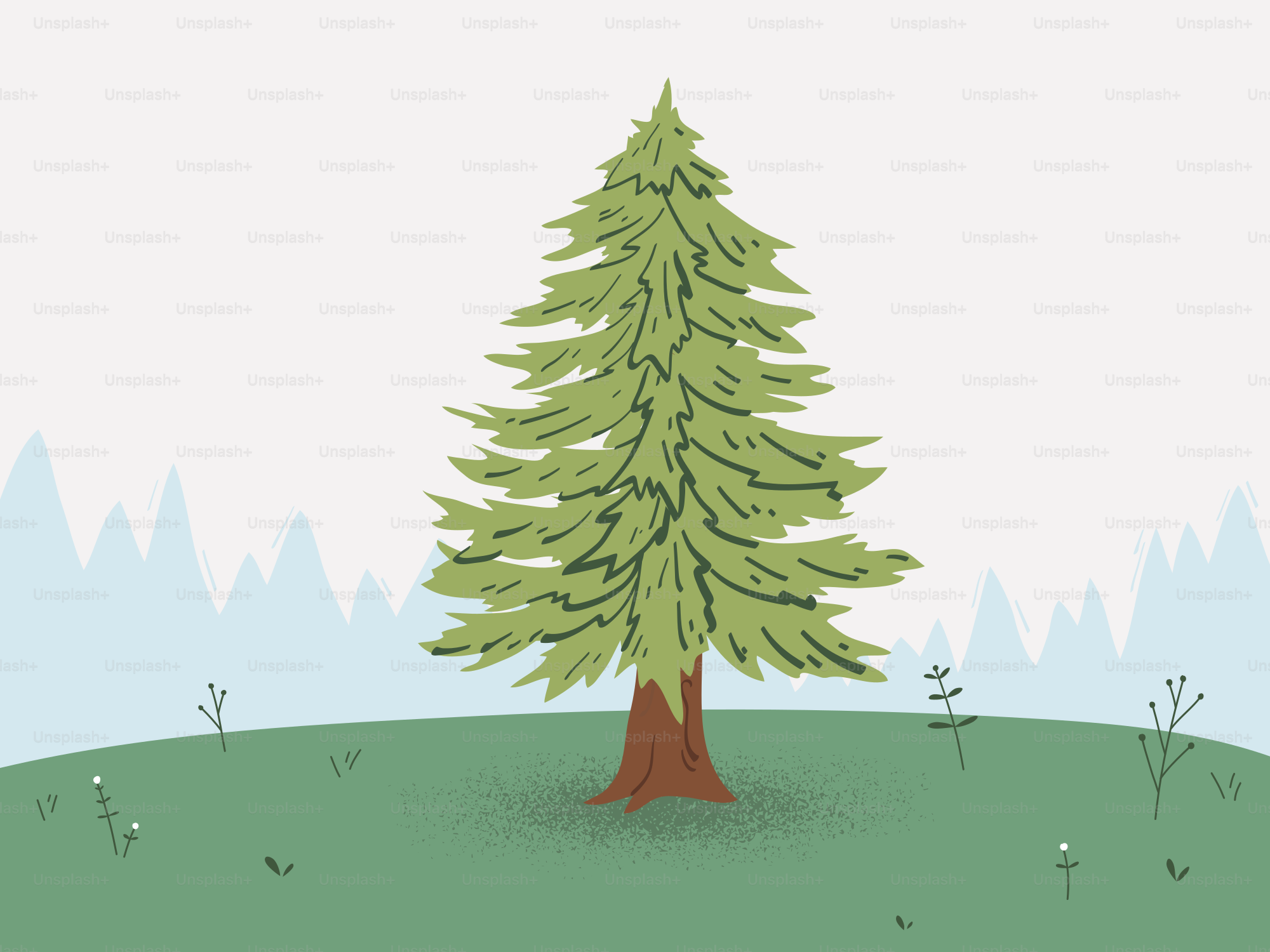 A solitary pine tree stands on a grassy hill.