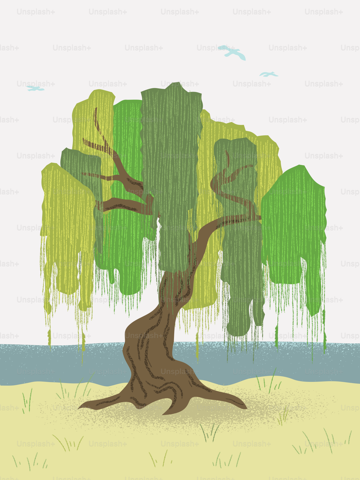 Un salice piangente si erge vicino all'acqua.