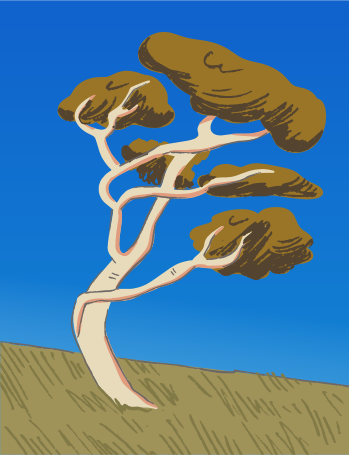 A lone tree stands against a clear blue sky.