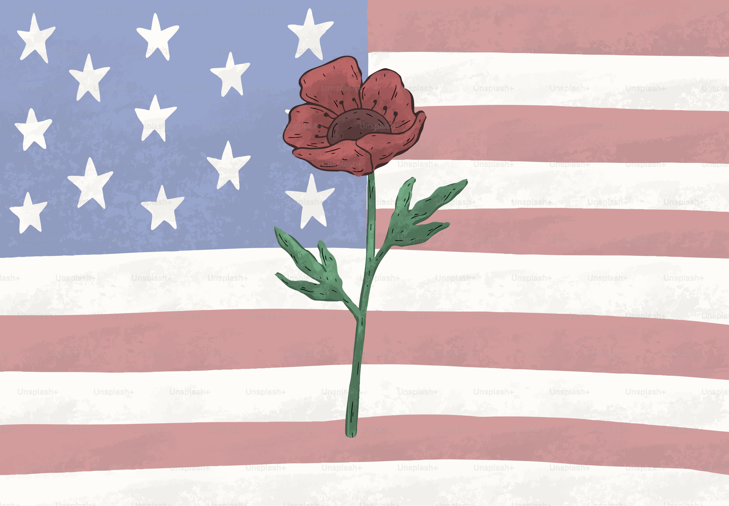 Roter Mohn vor der amerikanischen Flagge
