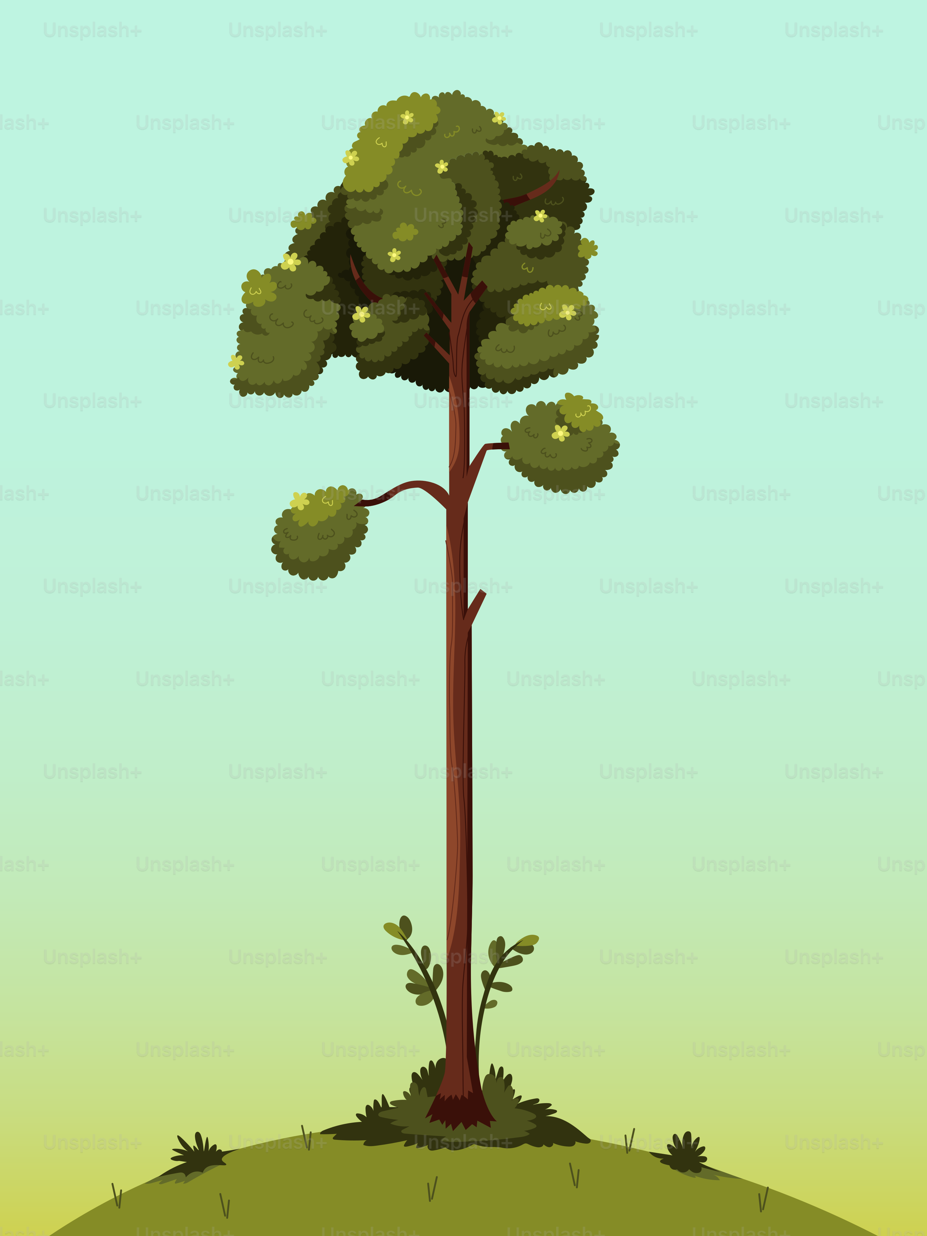 풀밭 언덕 위에 키 큰 소나무가 있다.