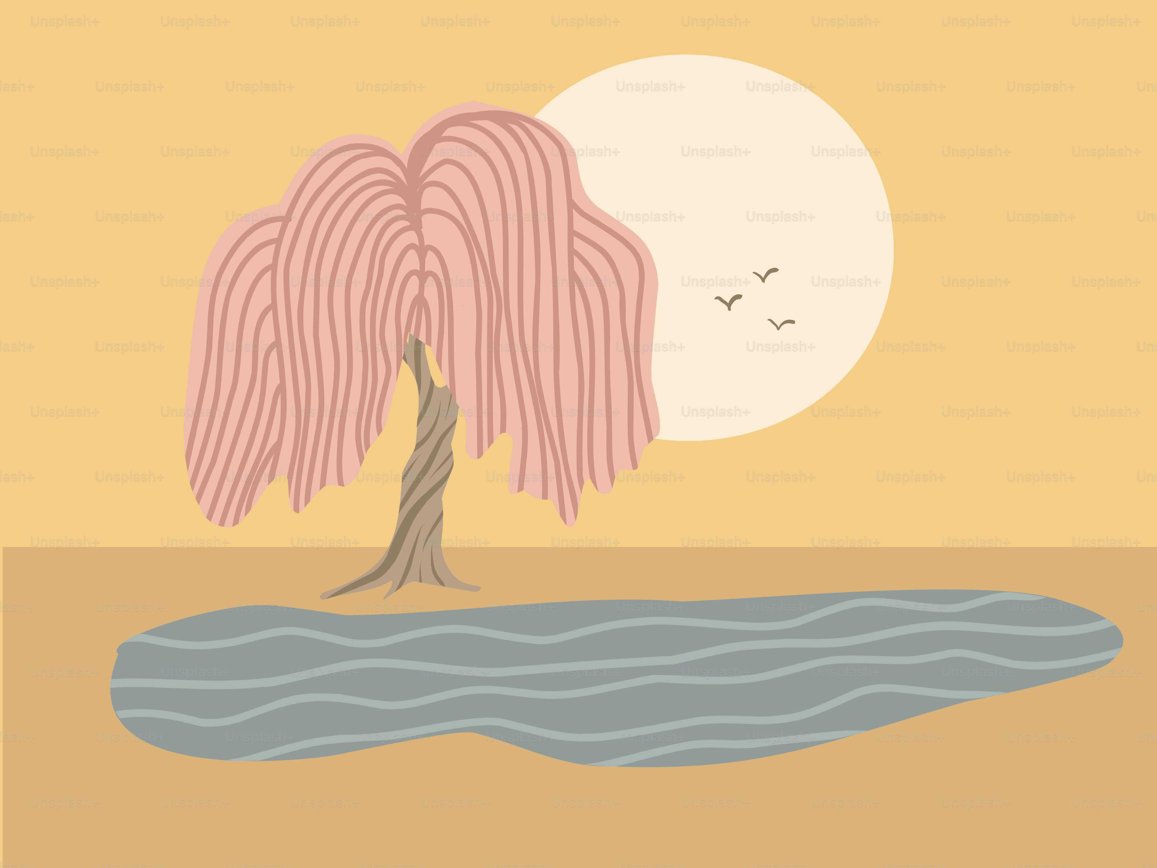 A weeping willow tree beside a pond at sunset.