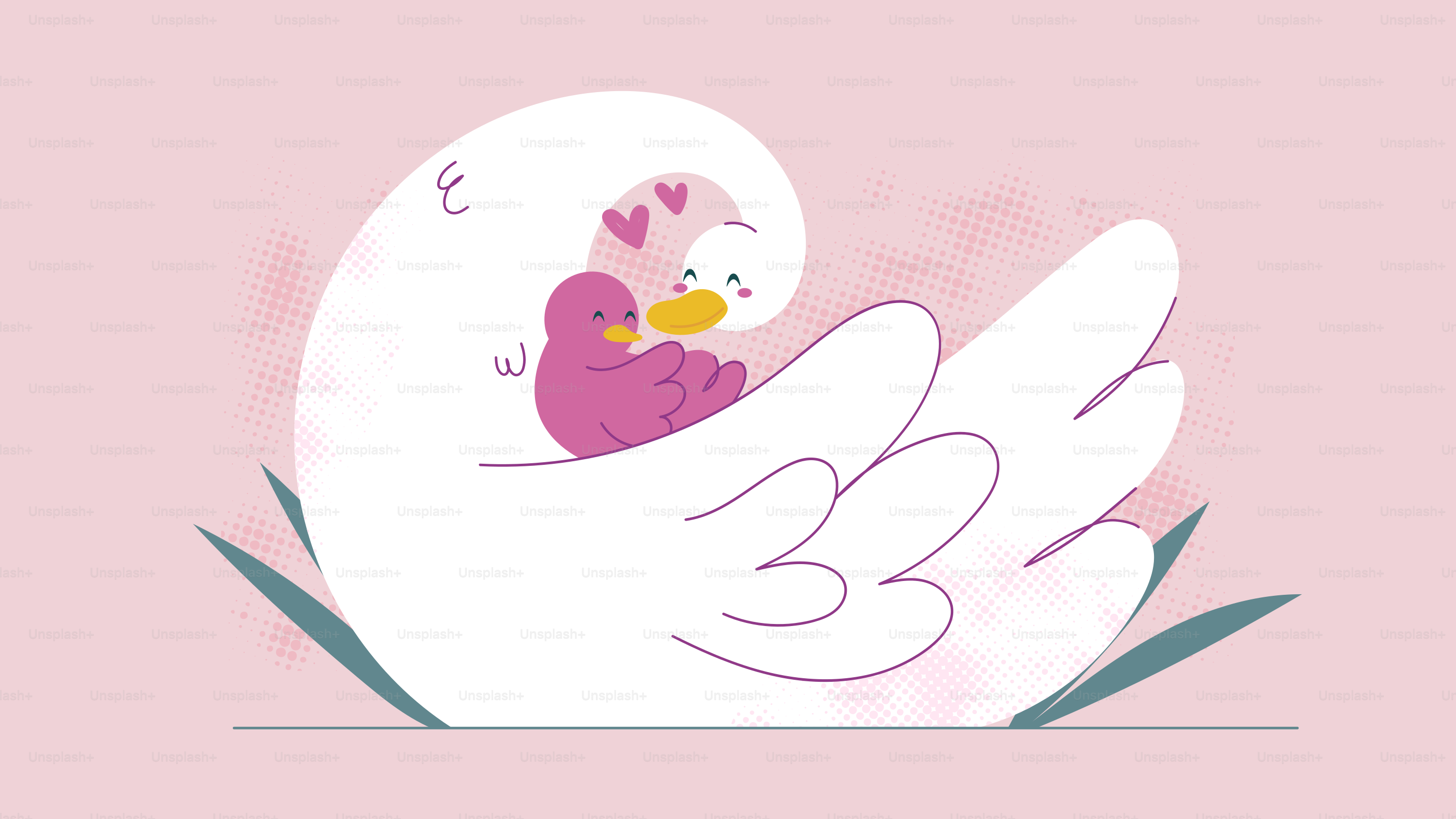 A mother swan cradles her chick with love.