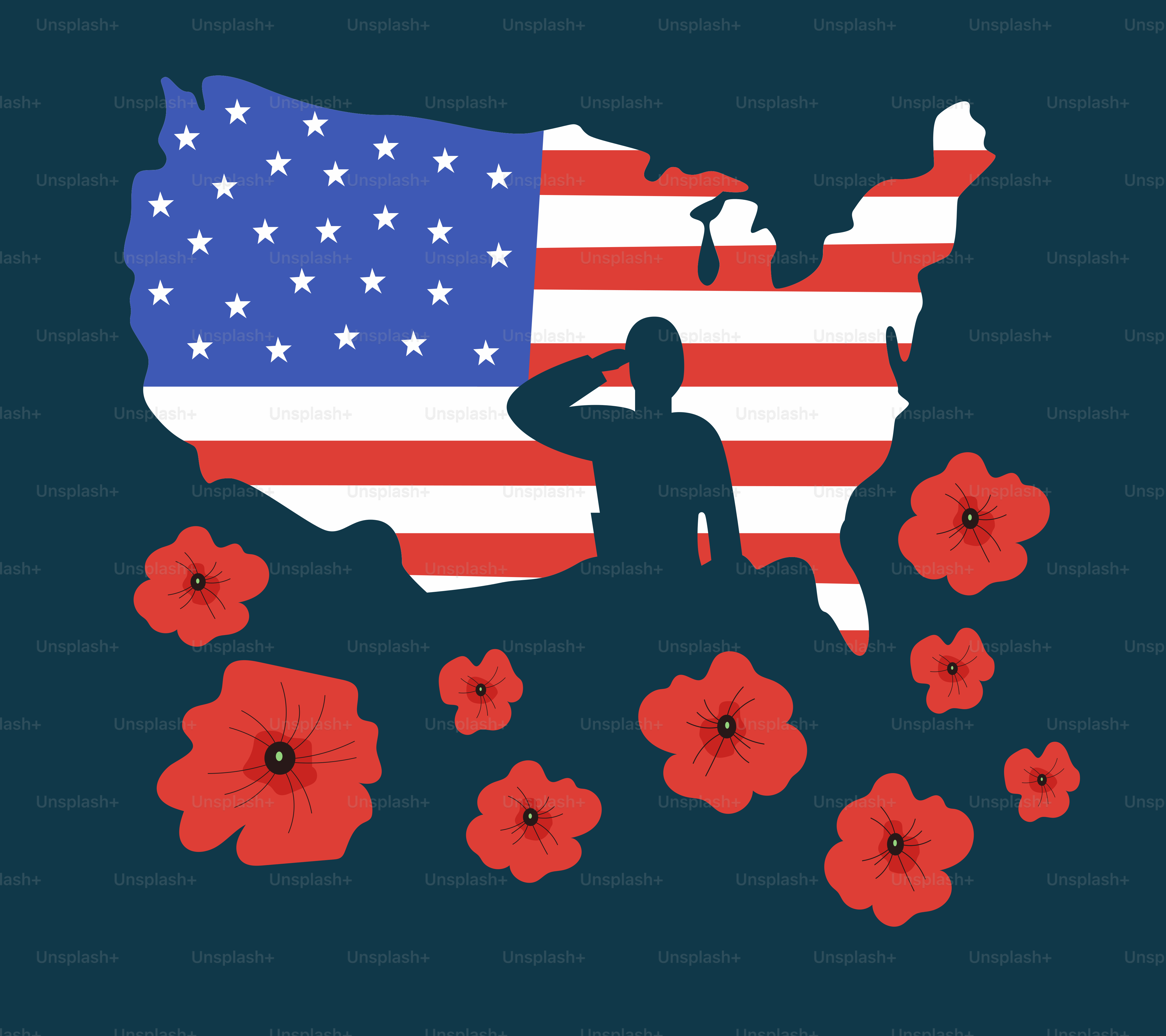 Peta bendera Amerika dengan hormat tentara dan bunga poppy merah