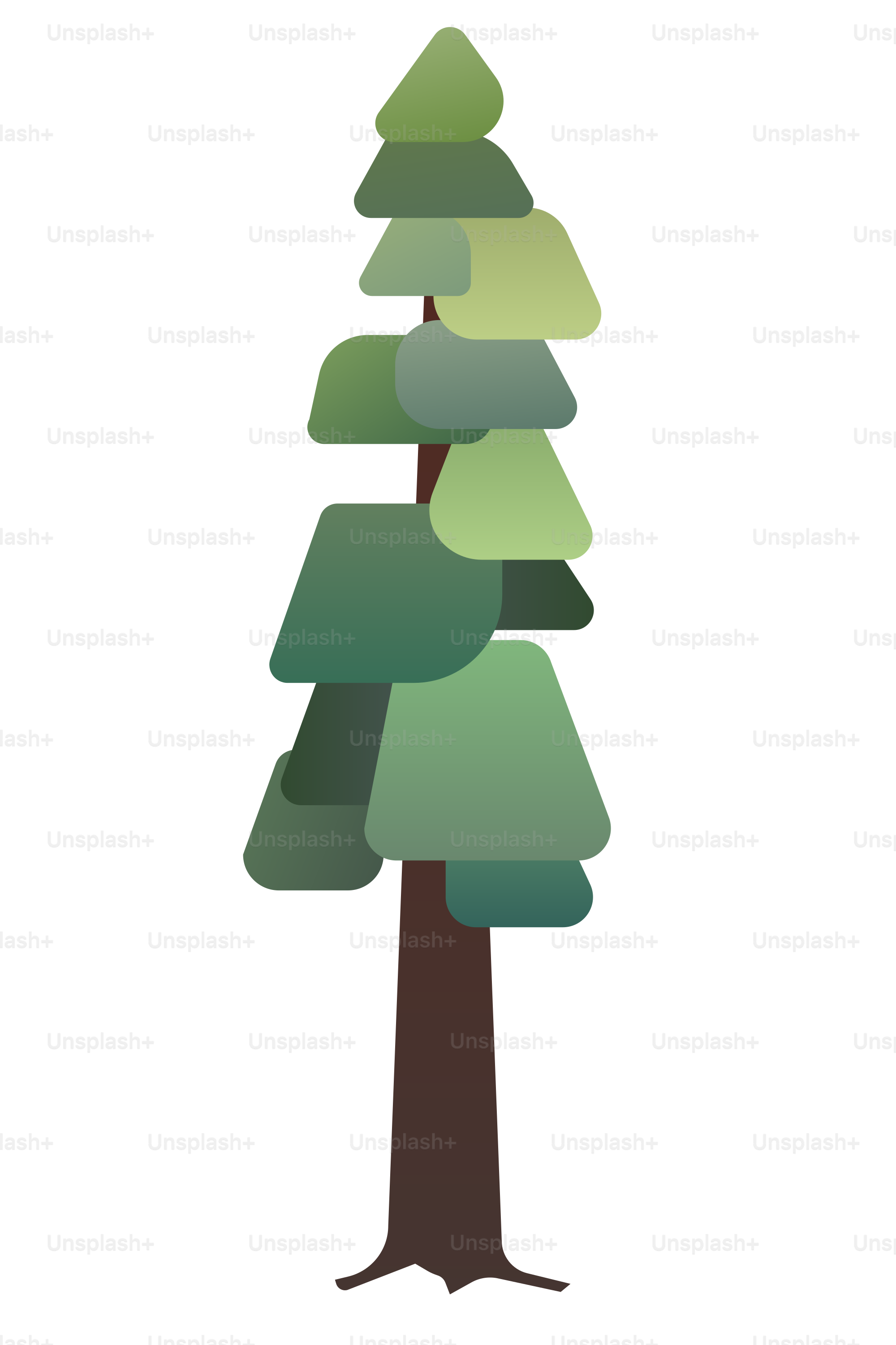 A stylized evergreen tree with layered green foliage