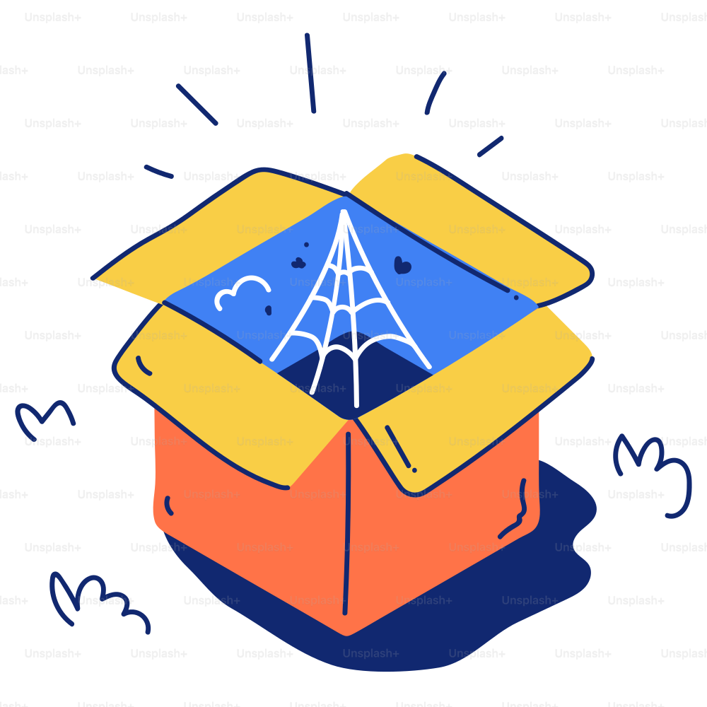 Open box with a spider web inside