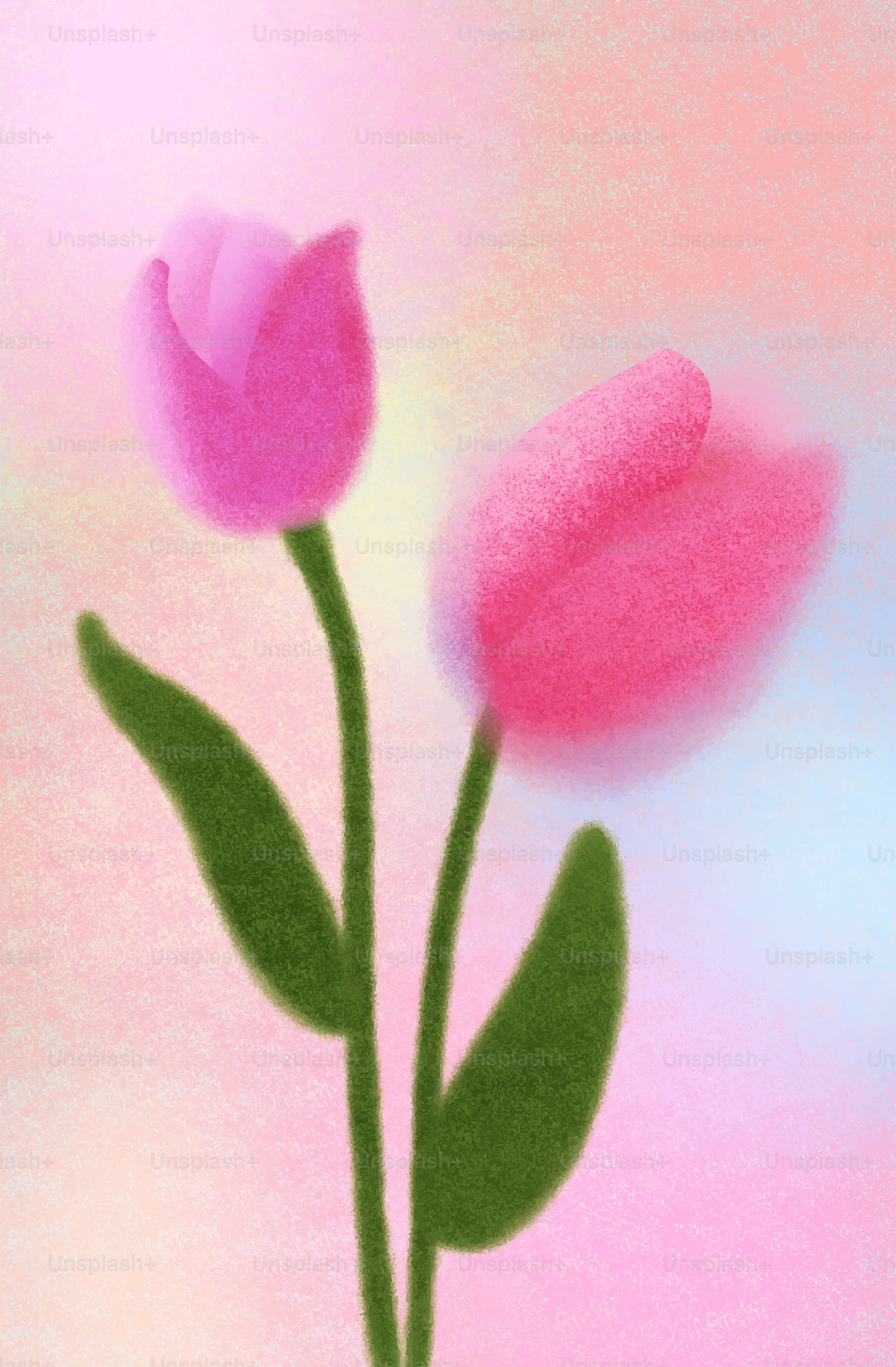 Two pink tulips with green stems on a pastel background