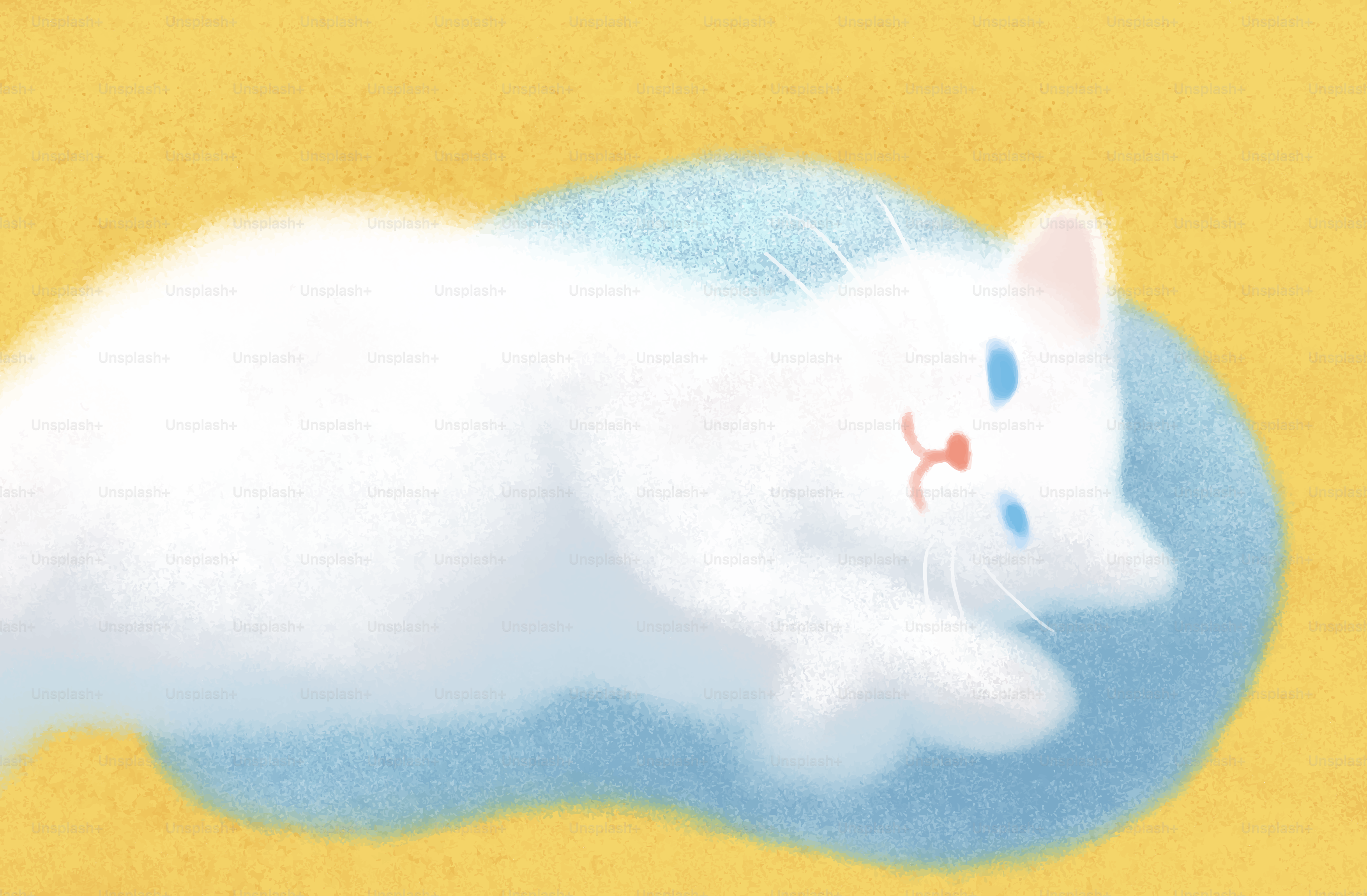 A fluffy white cat with blue eyes rests.