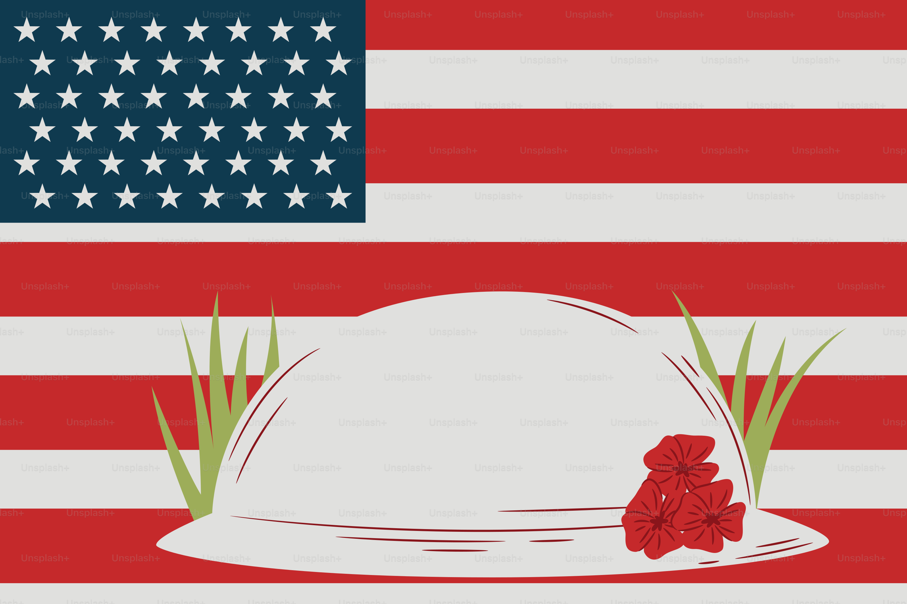 Bandeira americana com capacete e papoulas