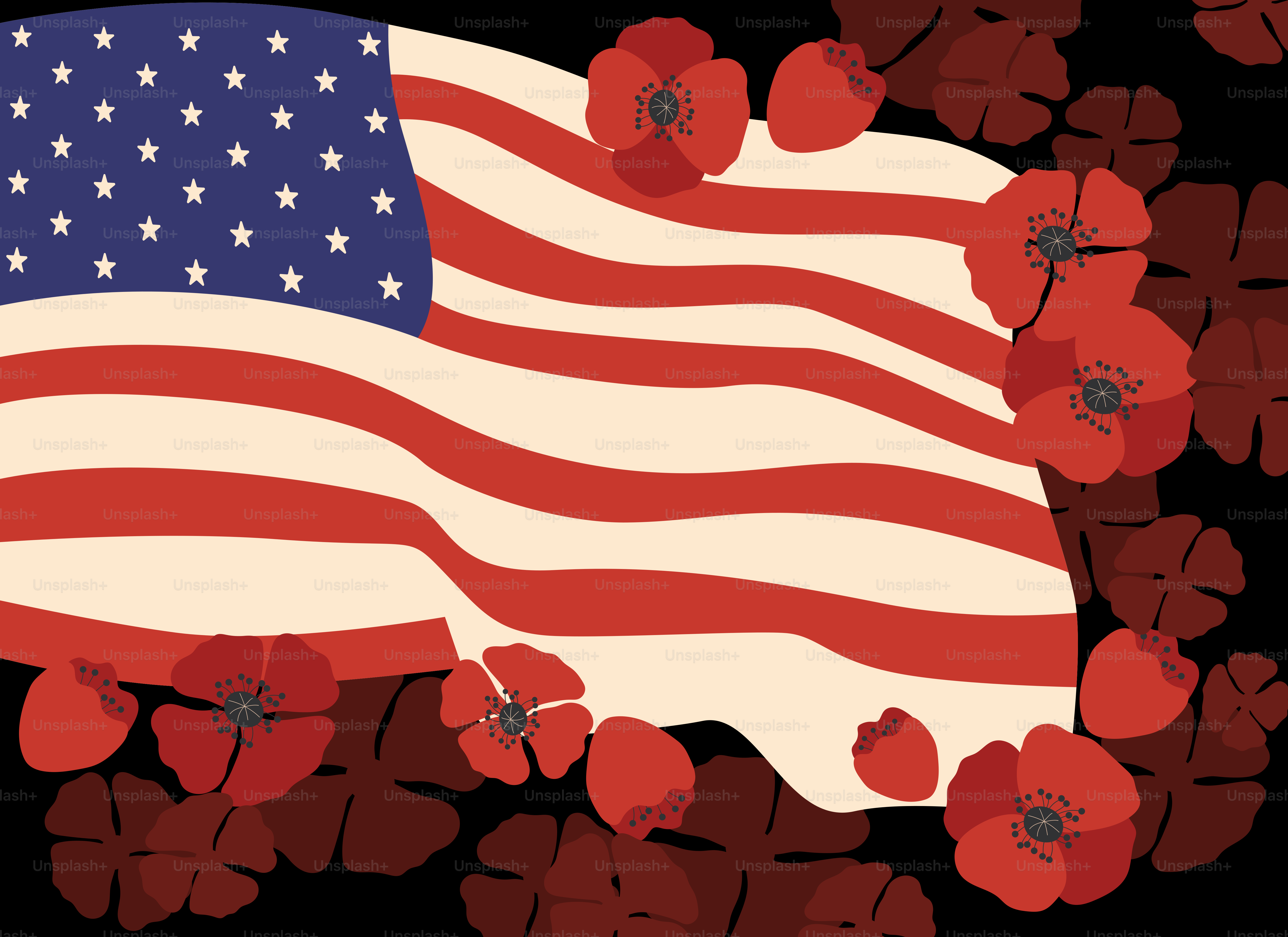 Bandera estadounidense con amapolas rojas sobre fondo negro