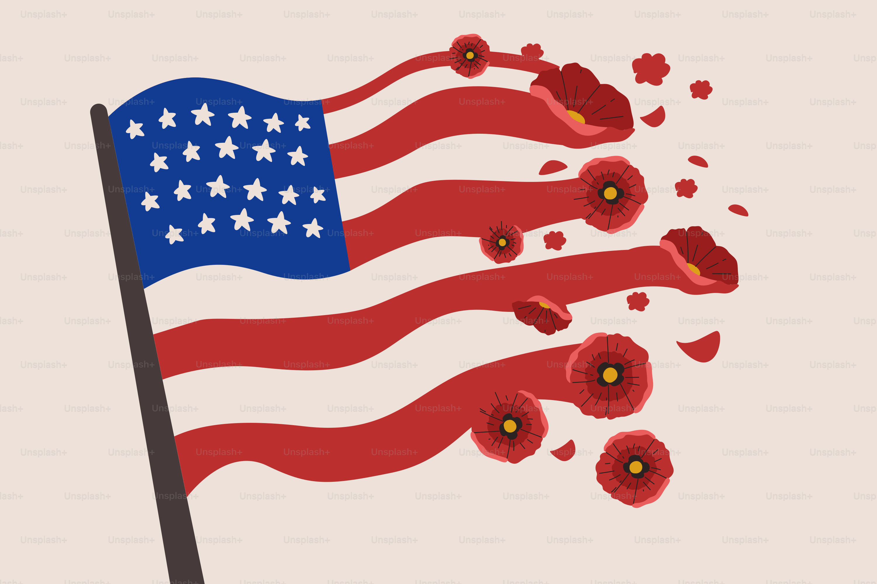 Bendera Amerika dengan bunga poppy yang mekar dari garis-garis