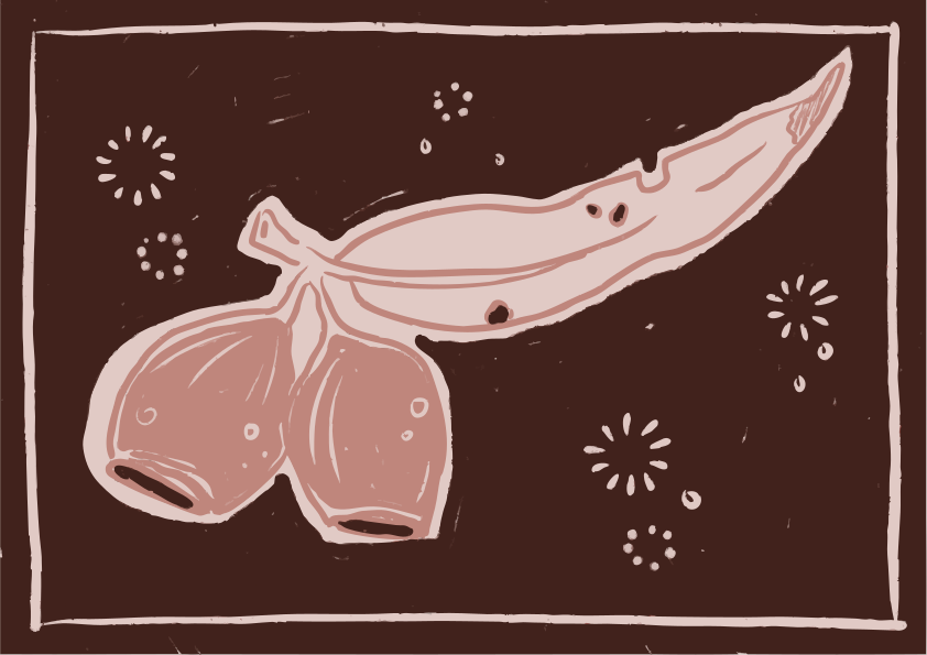 Un dibujo de hojas y vainas de eucalipto