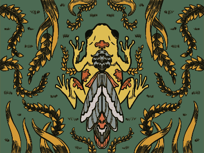 Rana gialla e falena con sfondo verde ornato