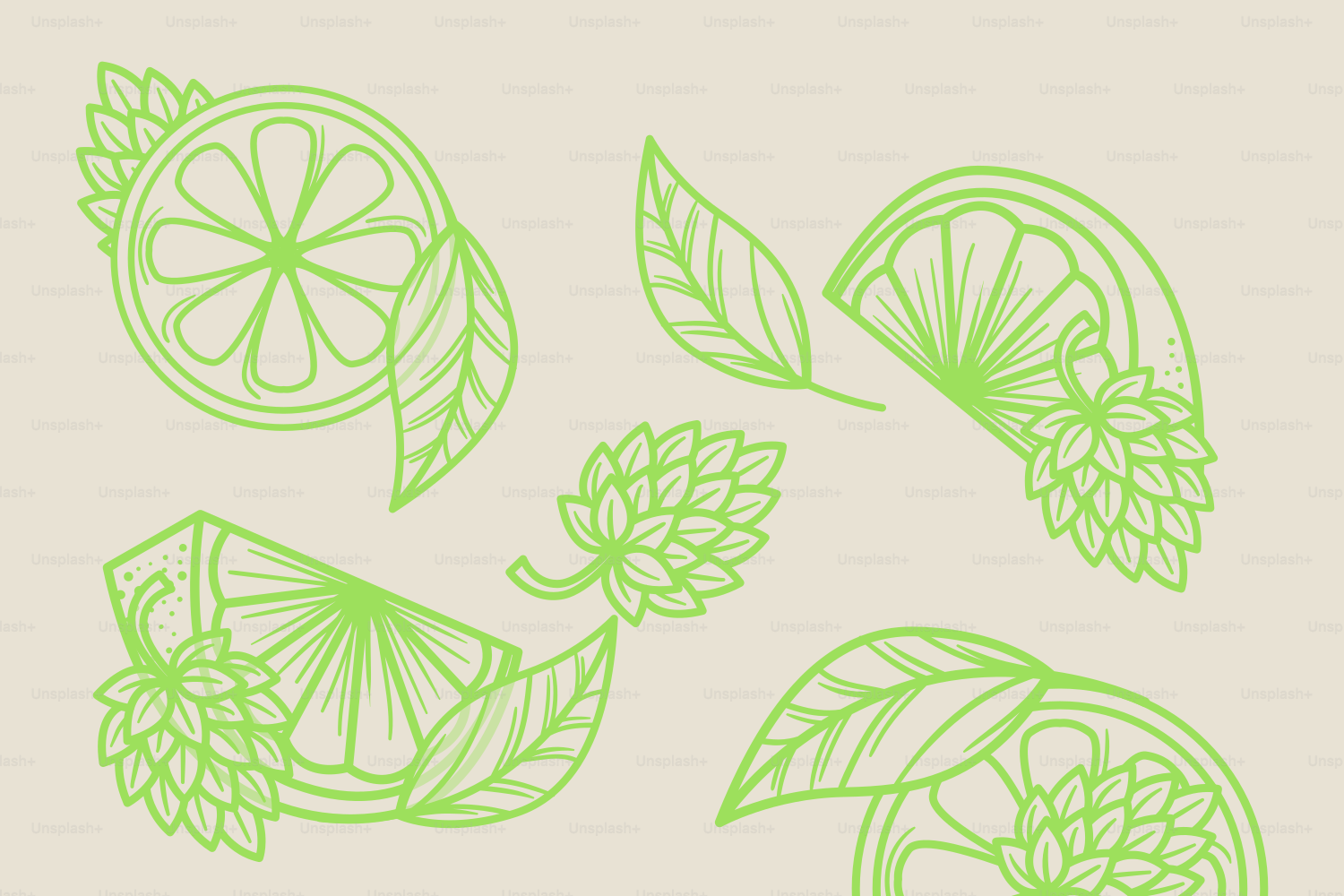 Grüne Limettenscheiben und Hopfen mit Blättern