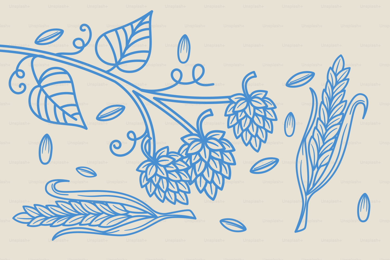 Blaue Linienzeichnung von Hopfen und Weizen auf beigem Hintergrund