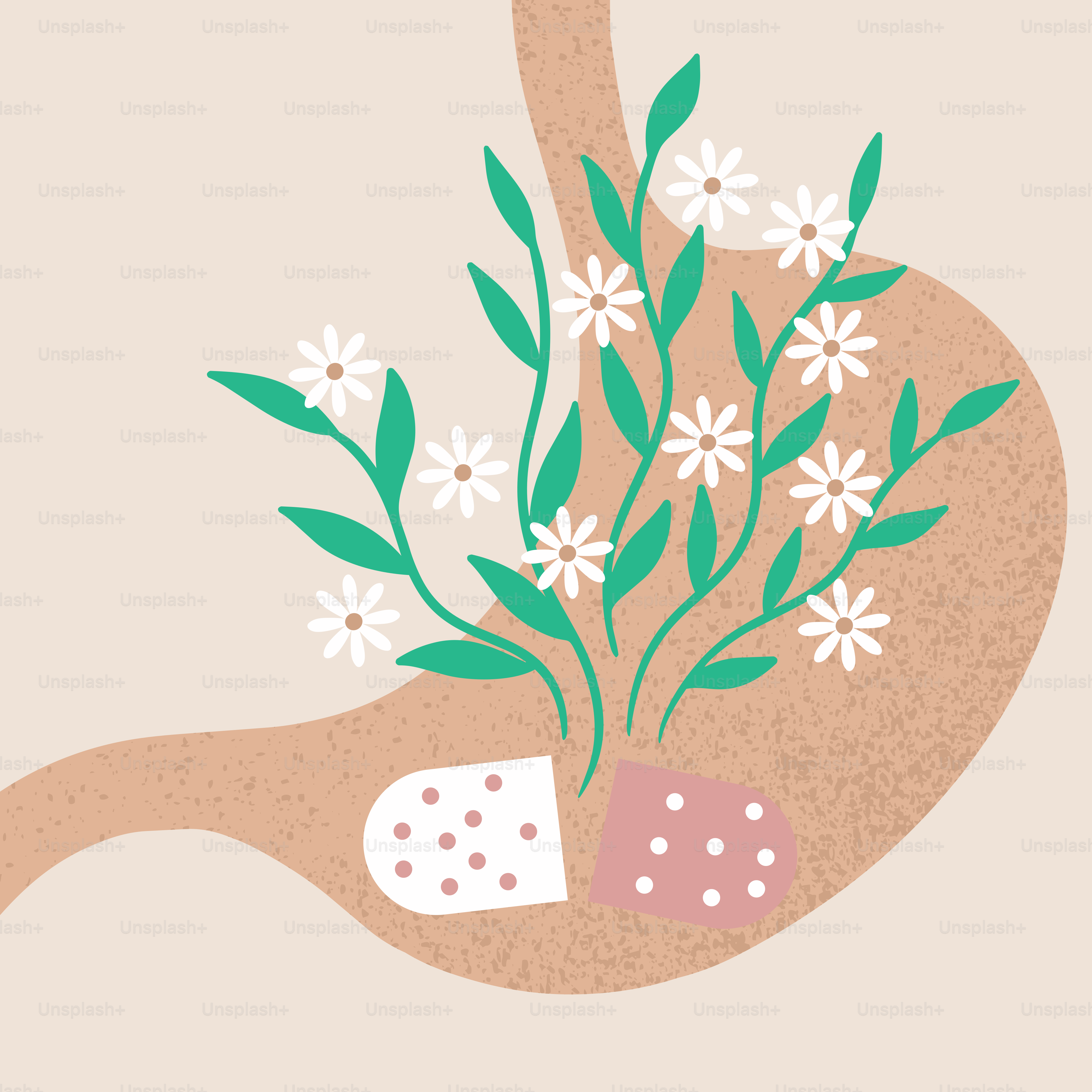 Herbal remedy growing from a capsule inside a stomach.