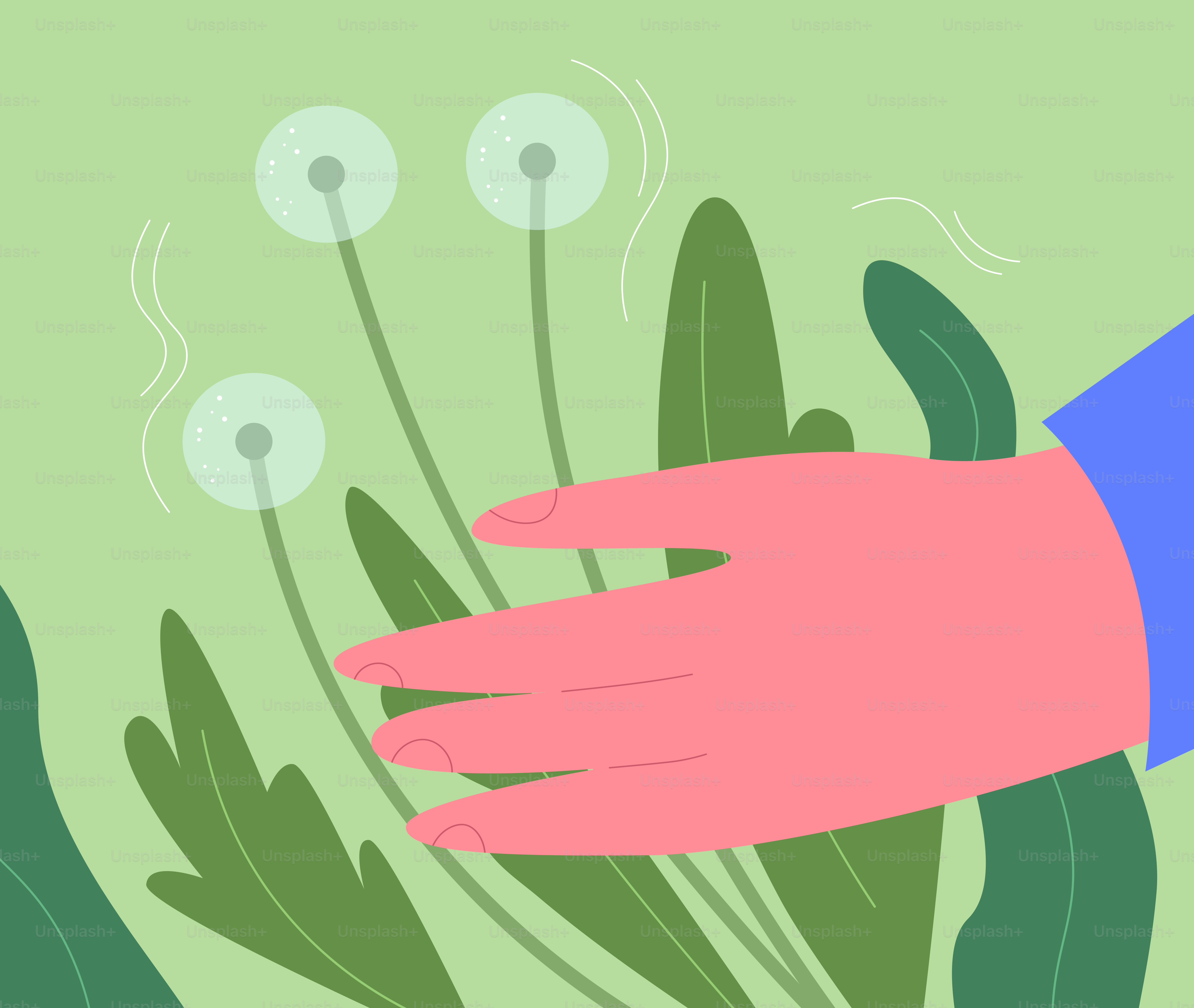 Tangan meraih dandelion di lapangan hijau